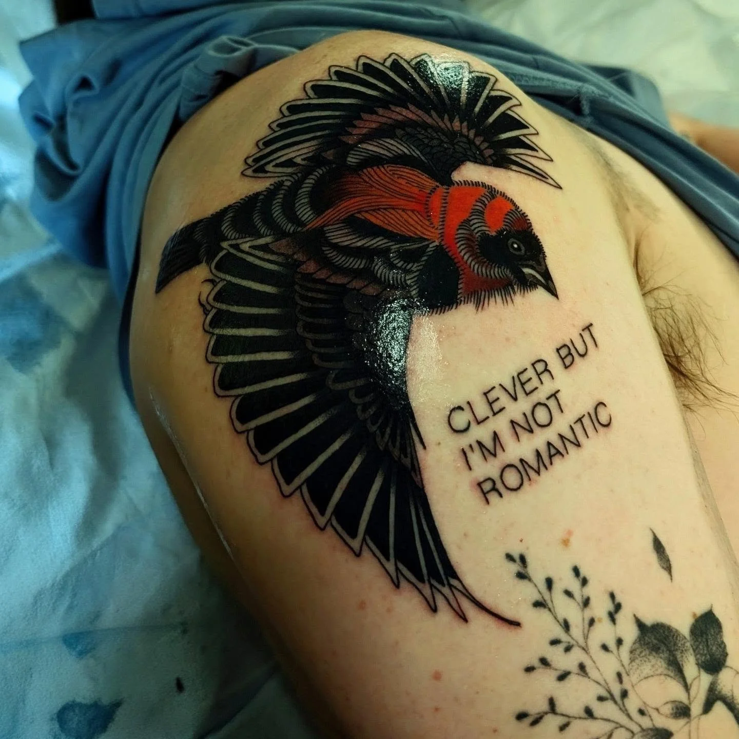 Fun little finch. Thanks Isaiah!