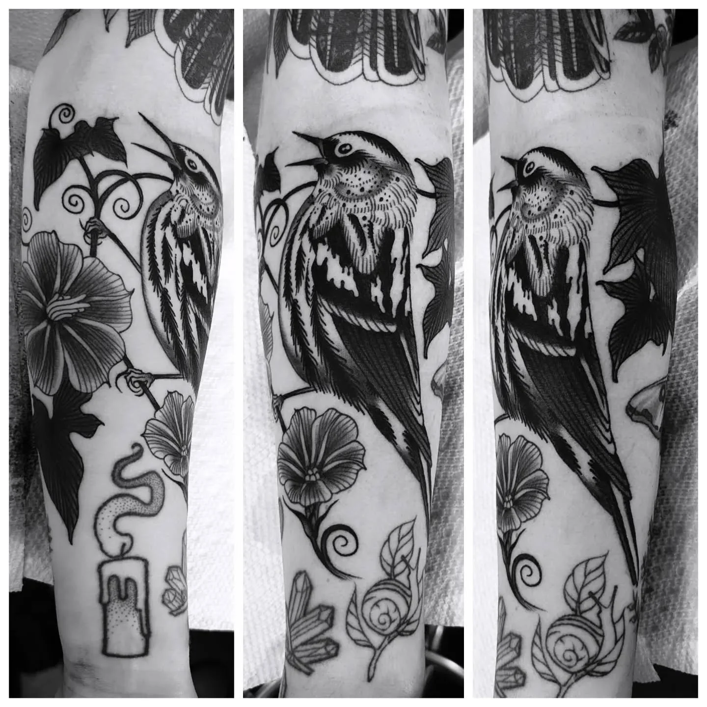 Black and white warbler coverup for Leah.