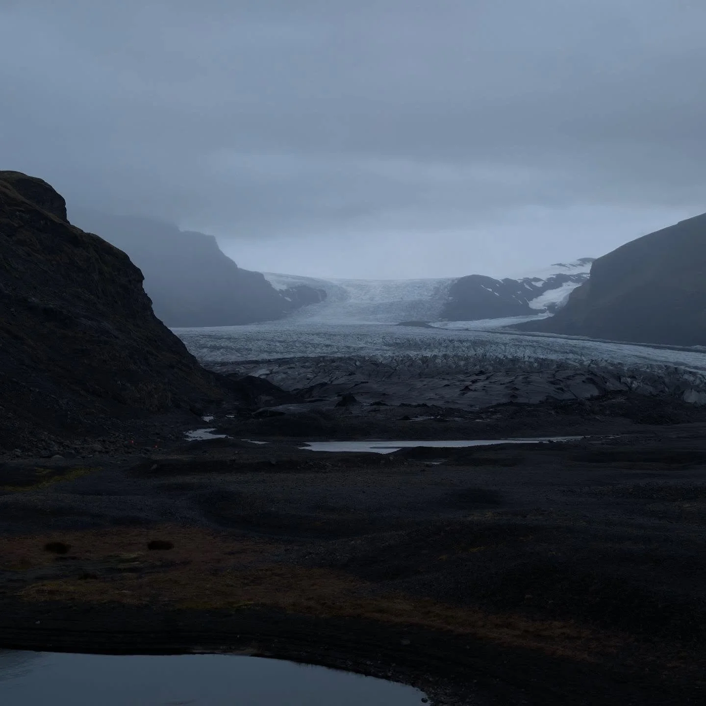 Iceland highlights 🌞 I am back in town and excited to tattoo !!! I am booking through the end of the year and have availability this coming Friday at 11 and also 9/12 at 3 if you would like to get tattooed soon :)