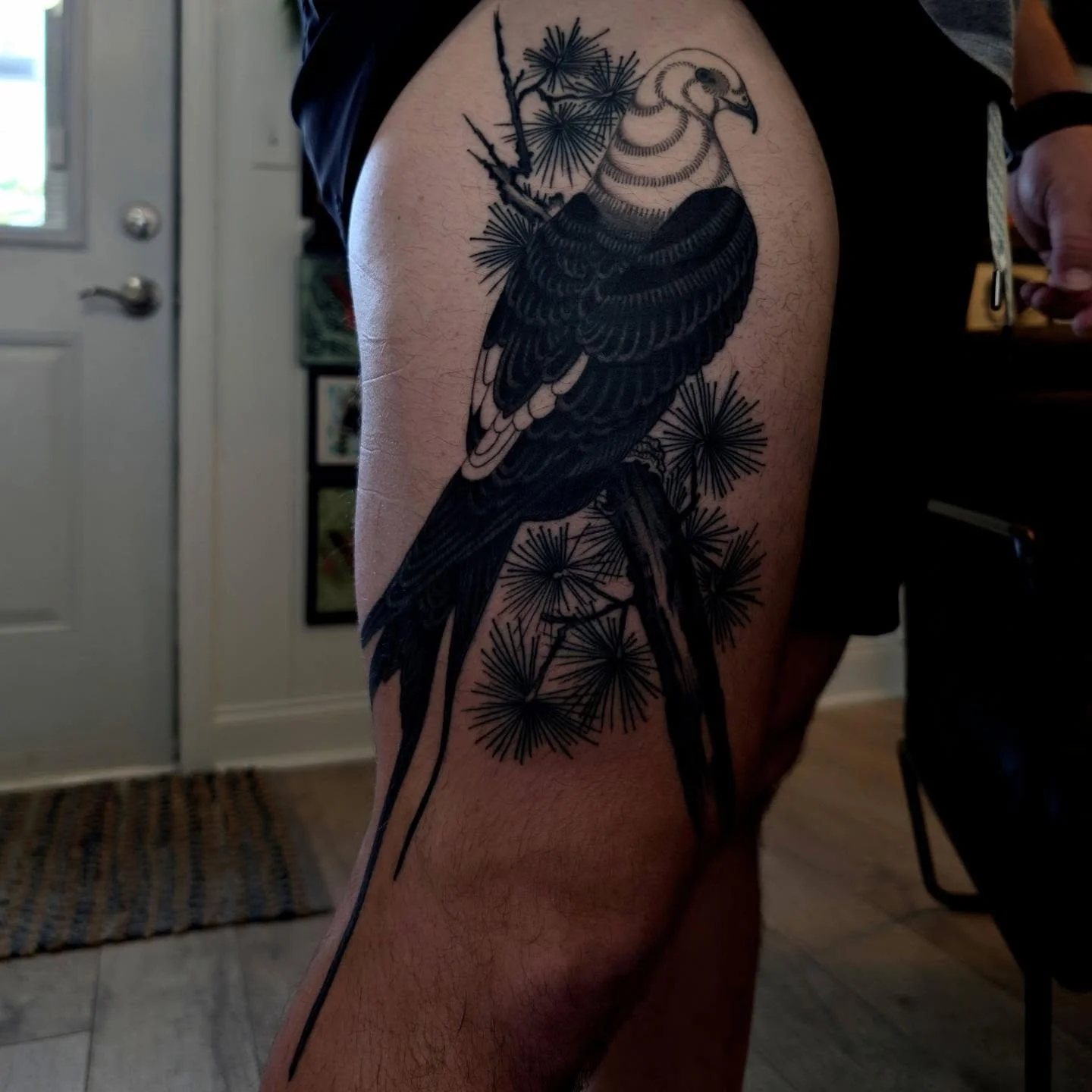 Healed swallow-tailed kite ~ thanks so much Paul 🌞

#tallahasseetattoos #tallahassee #floridatattooartist #birdtattoo #floridatattooartist
