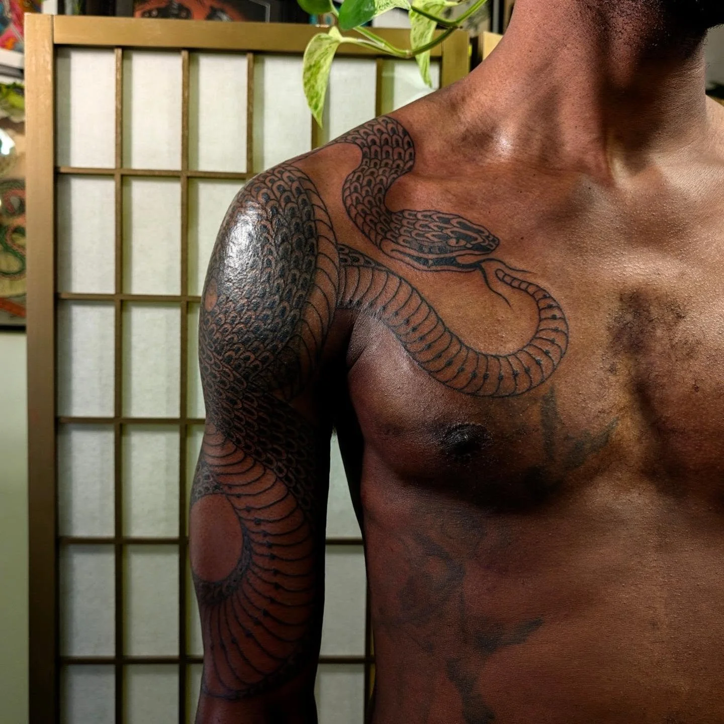 A great start to this coverup for Spence today!  More snakes please :)
