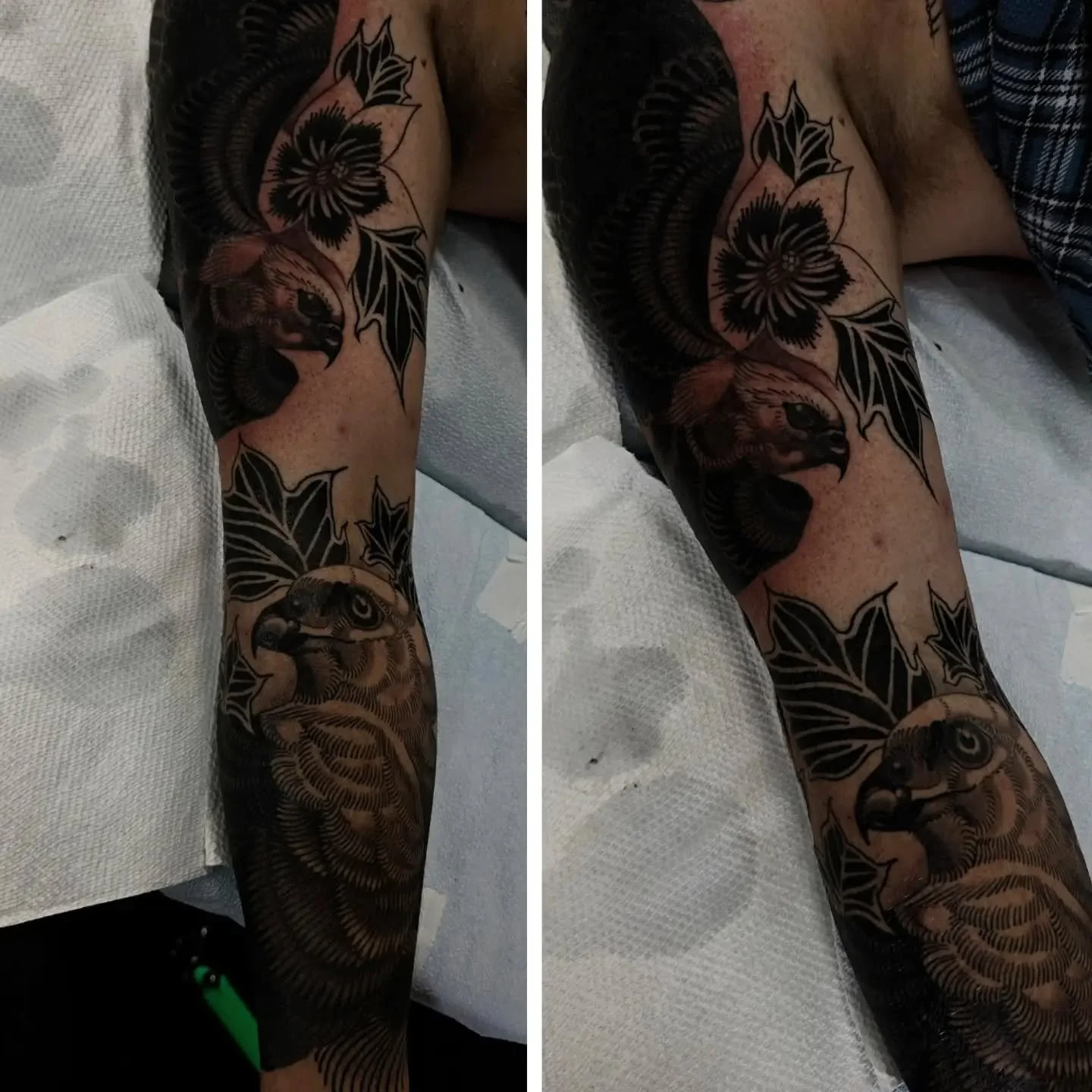 Progress on this double coverup ~ Mississippi kites &amp; tulip poplar ~ 

#tallahasseetattoos #tallahasseetattooartist #floridatattooer #floridatattooartist #floridatattoos