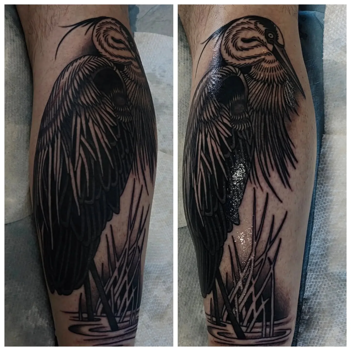 Great blue heron for Micah's first tattoo. I would love to make more like this! 
ALSO - see my previous post for Halloween flash!

#tallahasseetattoos #tallahasseetattooartist #floridatattooartist #floridatattooer #herontattoo