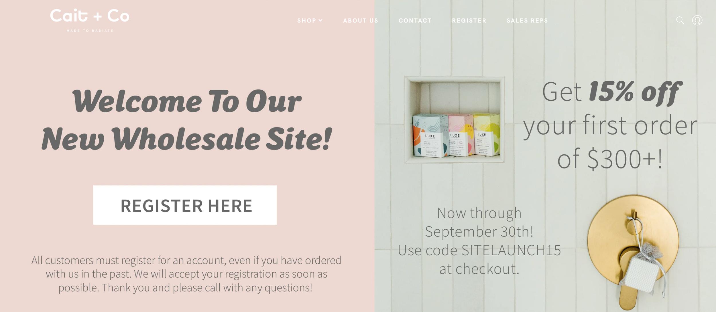 Web Design (Front End + Minimal Back End)