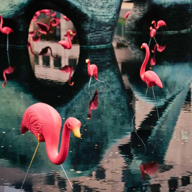 WAX OWLS SOAR WITH ‘THE NOTICE’: A HAUNTING ANTHEM OF RESILIENCE AND RENEWAL