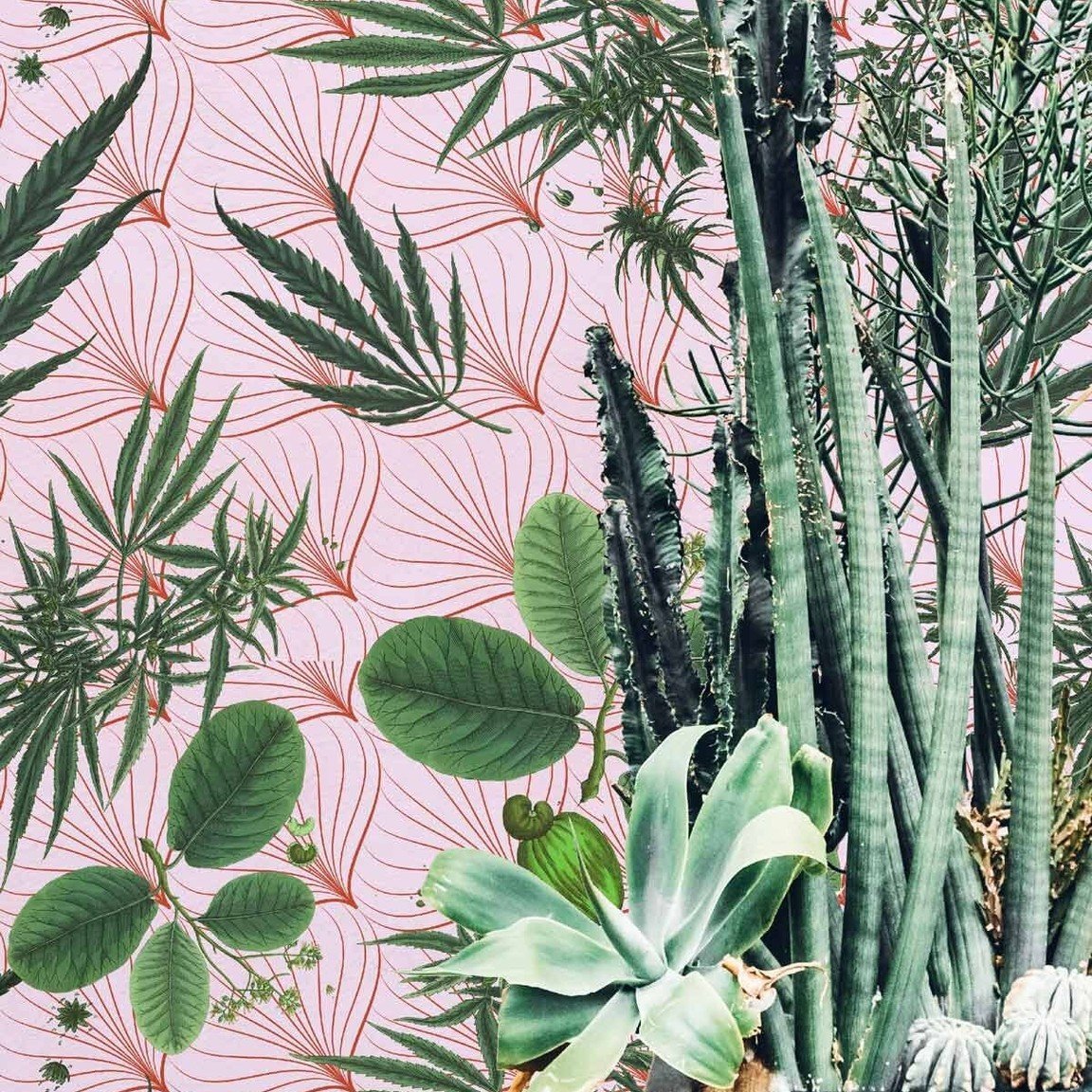 For those of your wondering if we really have something for ANY style- let is present O CANNADA for those celebrating today. This delightful pattern comes in several colors and scales from @fineanddandyco #wallpaper #wallpaperart #wallpaperdecor #fun