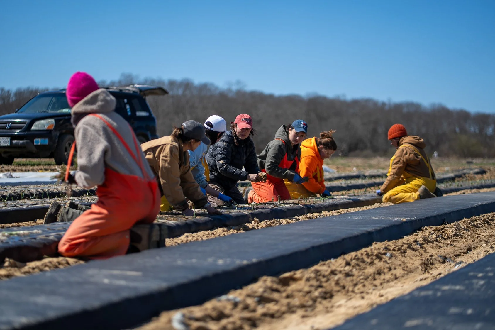 0425_Apprentice Planting_5.jpg