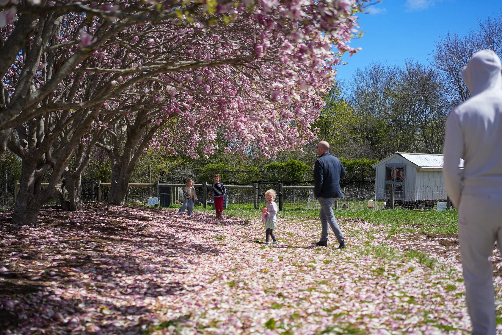 0425_Sunday Morning_12.jpg