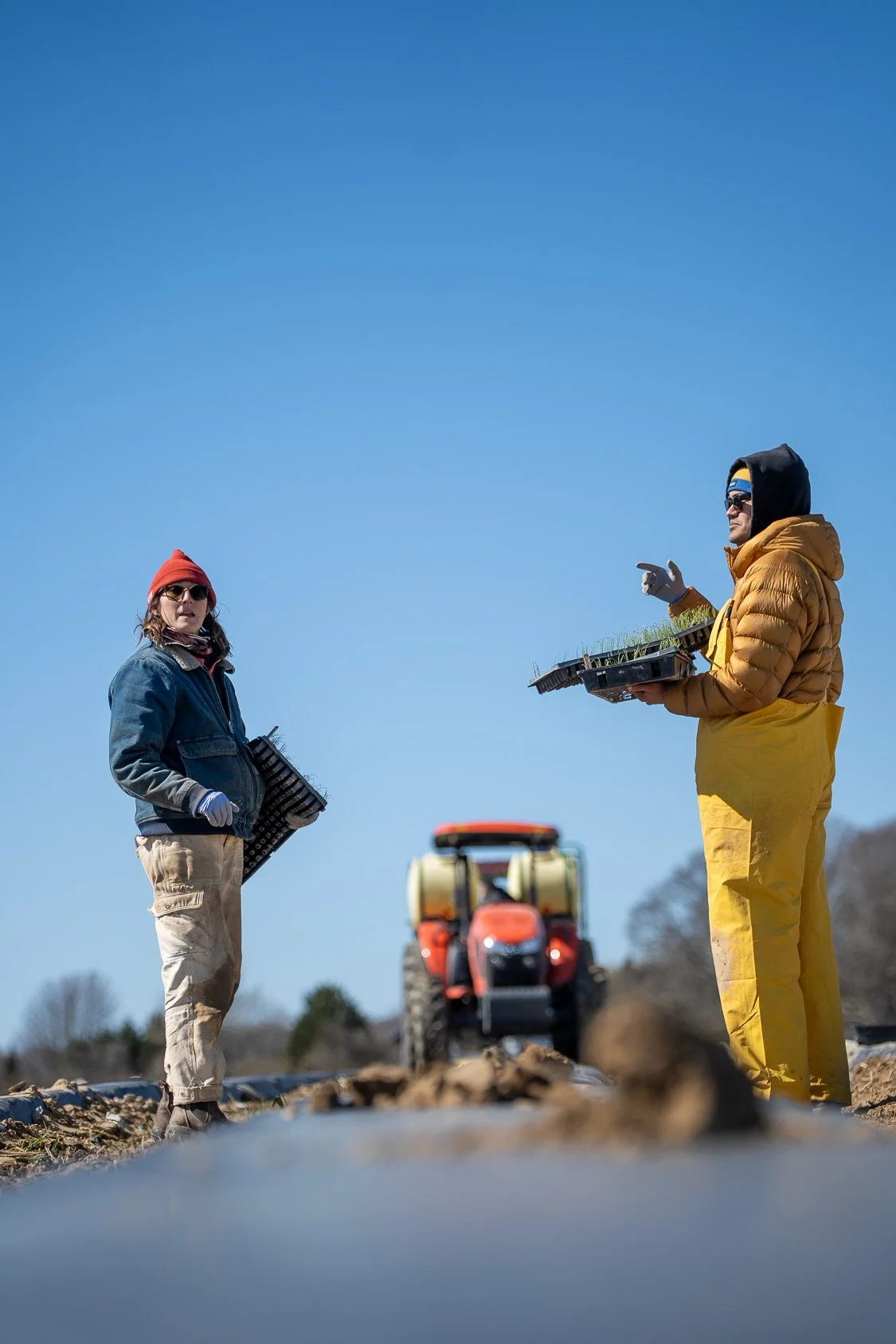 0425_Apprentice Planting_27.jpg