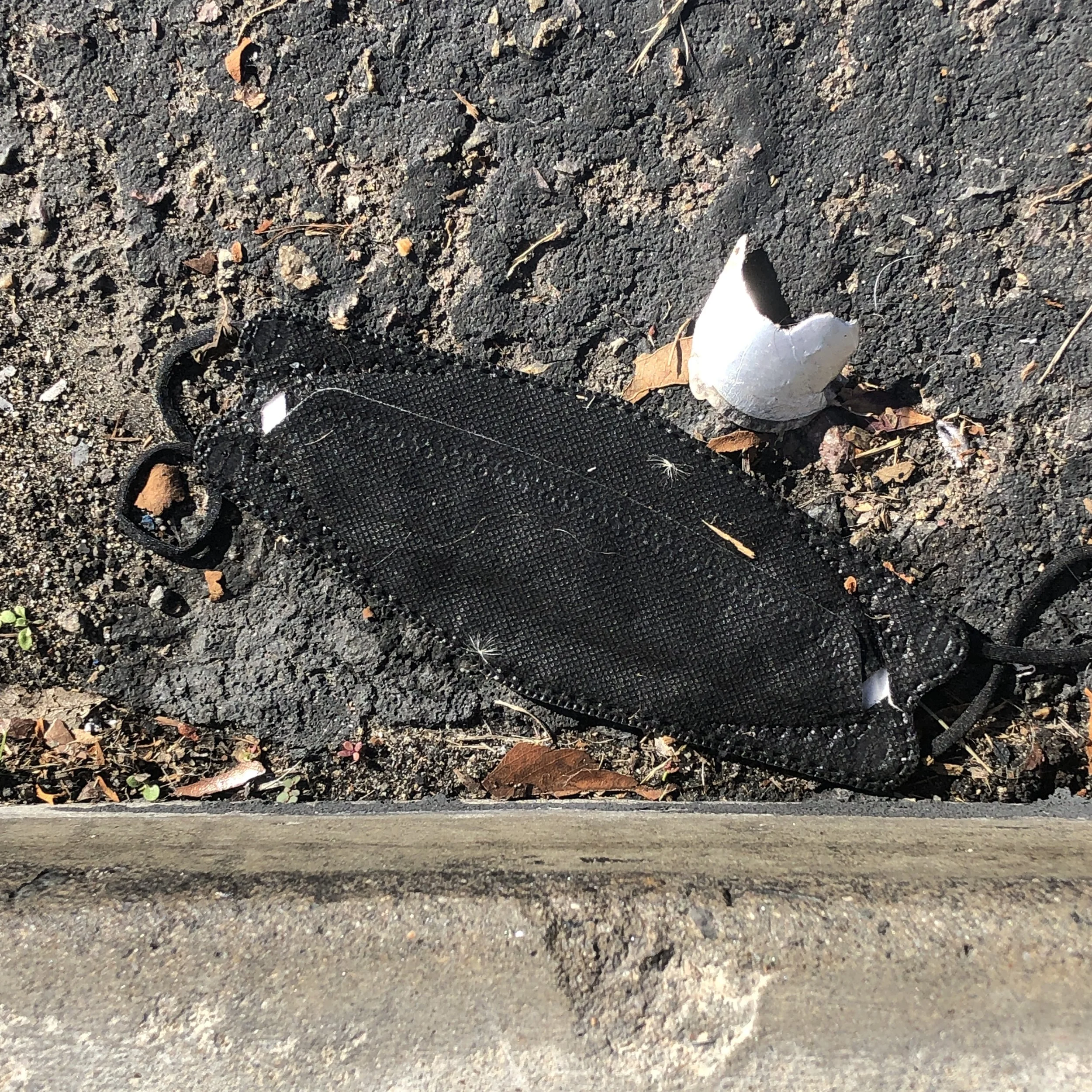 IMG_7487.jpeg