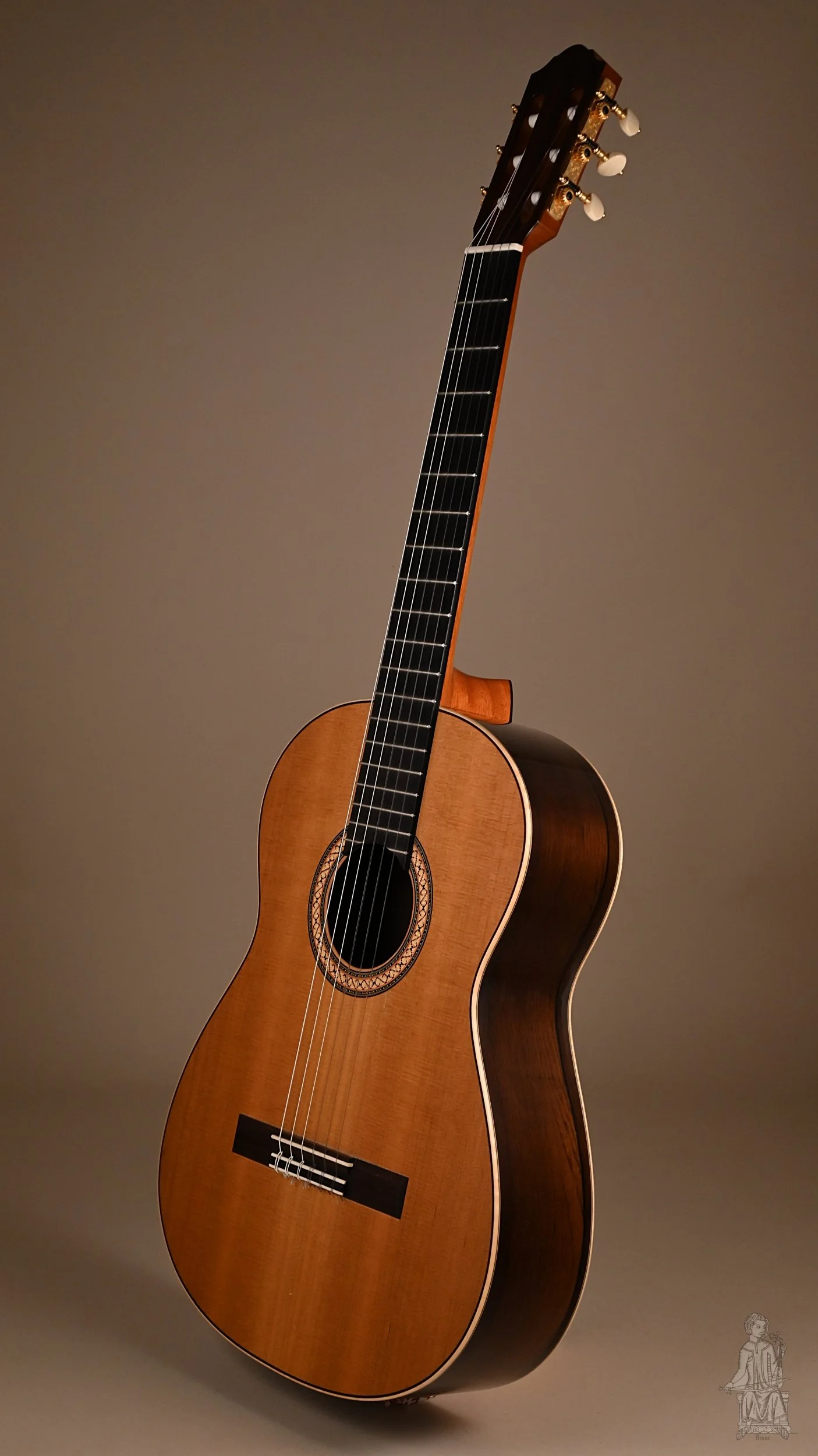 best classical guitar under 500, best classical guitar under 1000, best beginner classical guitar, cedar vs spruce classical guitar, best classical guitar brands, classical guitar buying guide