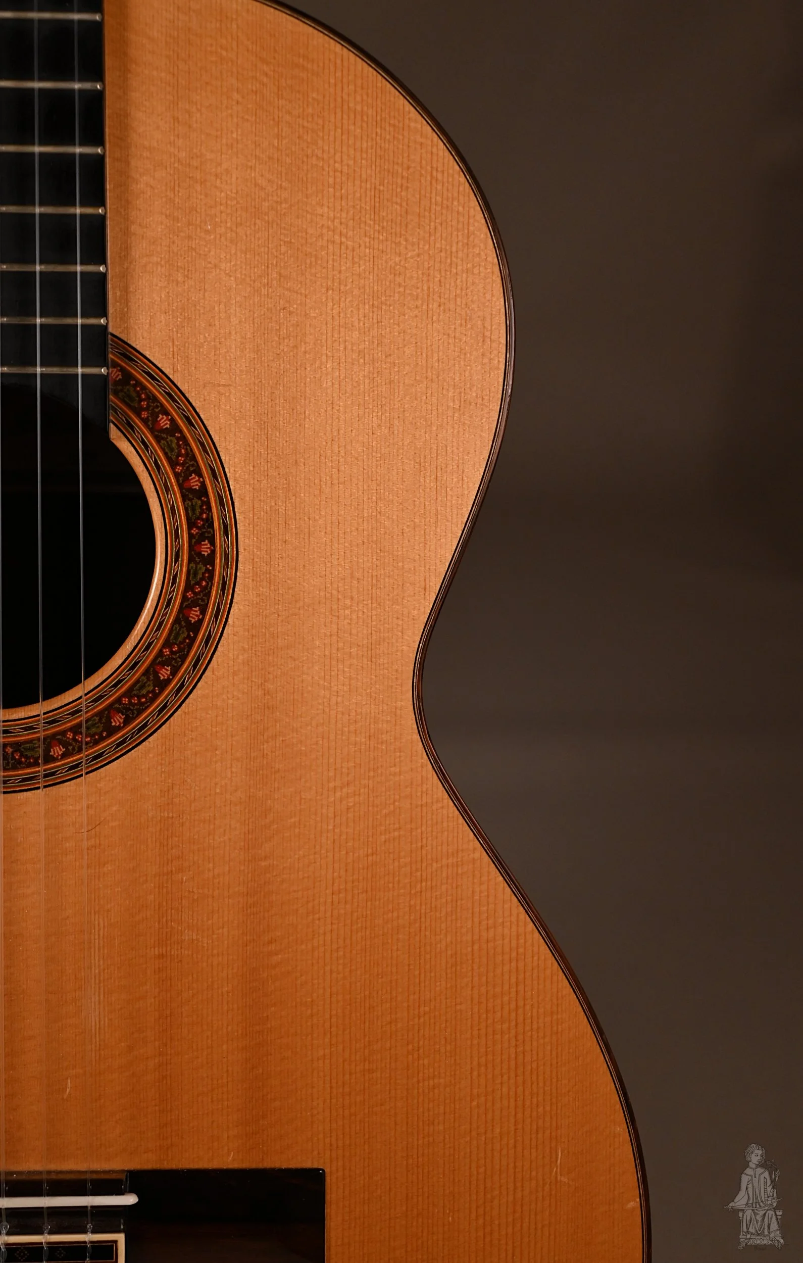 classical guitar for beginners, beginner classical guitar lessons, easy classical guitar songs, classical guitar exercises, how to play classical guitar