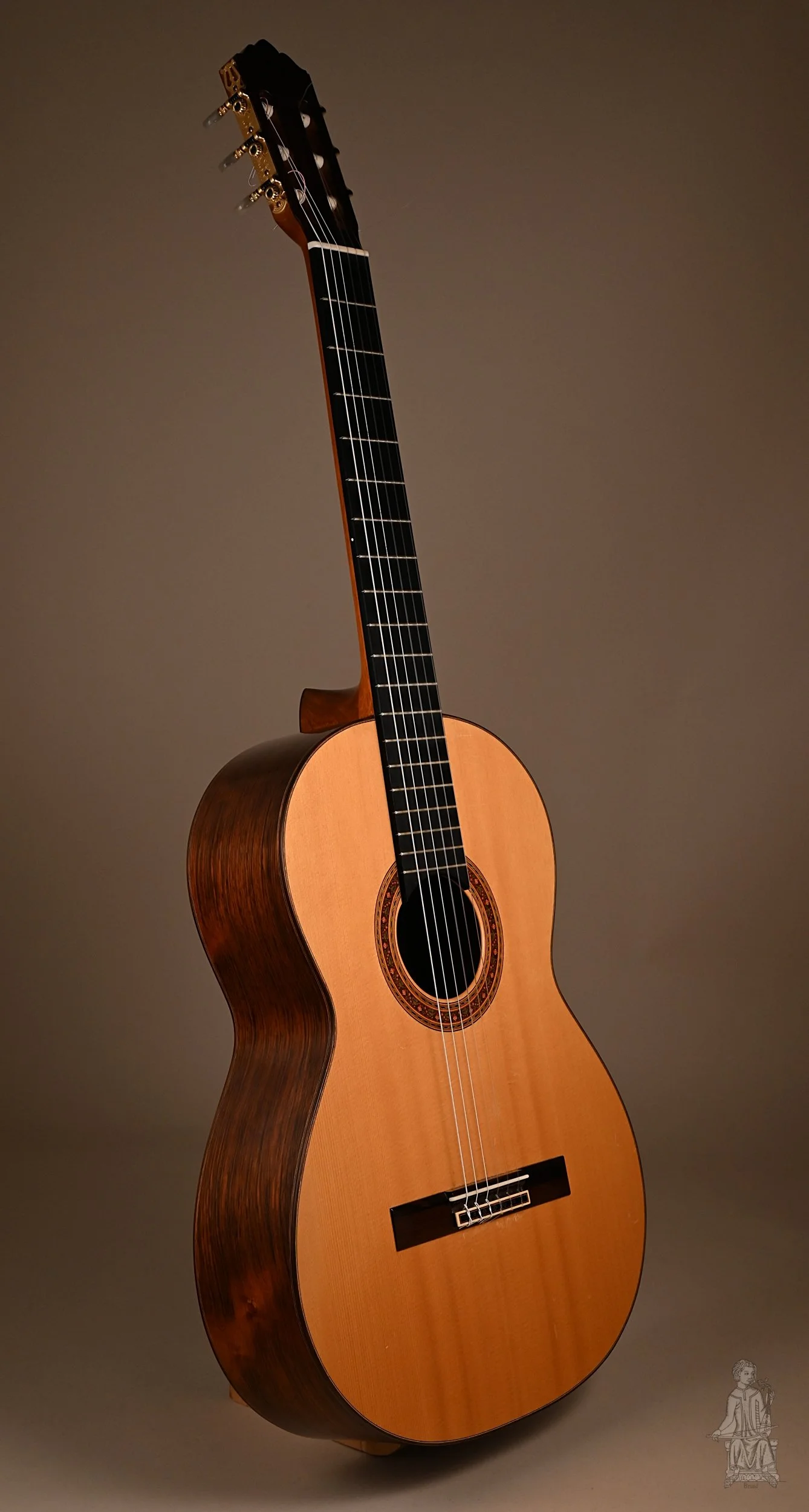 classical guitar for beginners, beginner classical guitar lessons, easy classical guitar songs, classical guitar exercises, how to play classical guitar