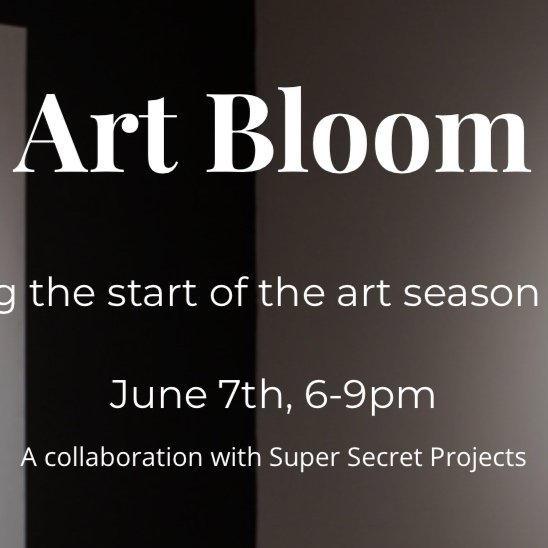 Art Bloom: A Unique Night of Art.