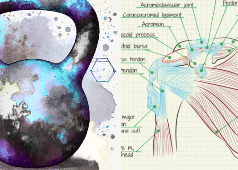 Artistic black kettlebell with splashes of teal and purple and an anatomical illustration of a left shoulder's muscles and ligaments