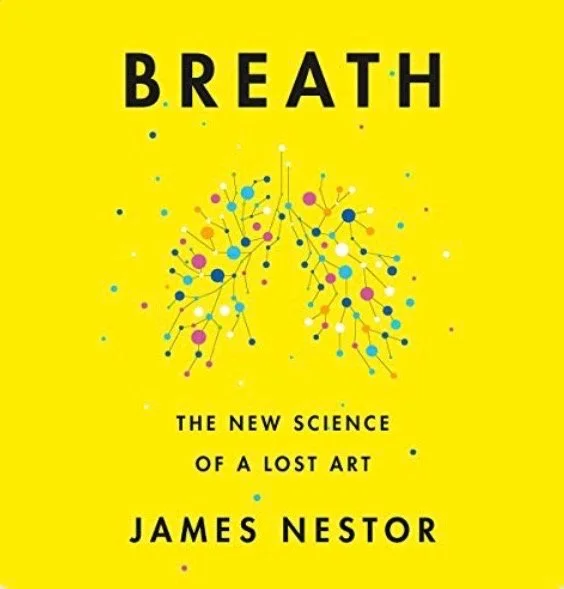 Image of the book cover of James Nestor's Breath. It's yellow and there is an artistic image of lungs