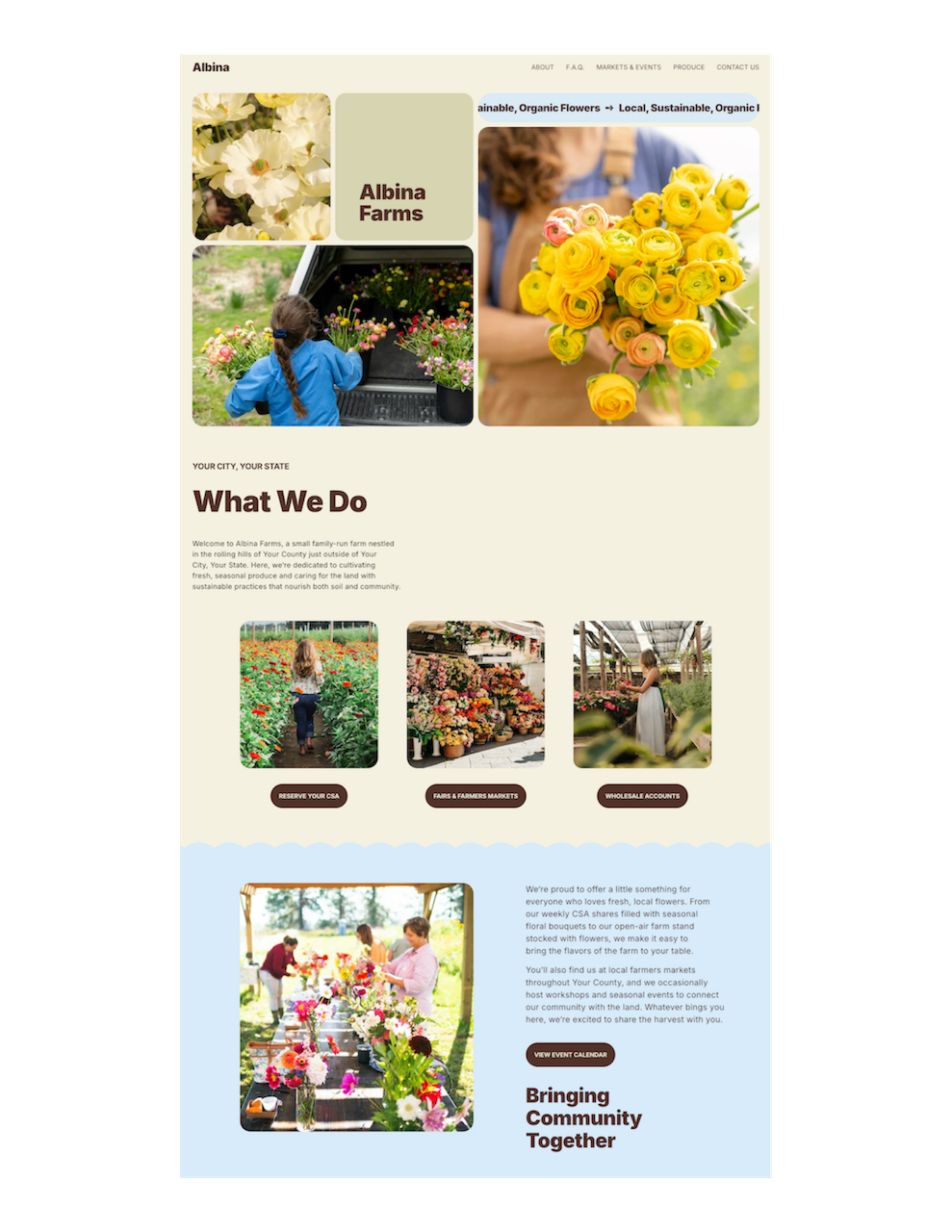 Albina Squarespace Website Template