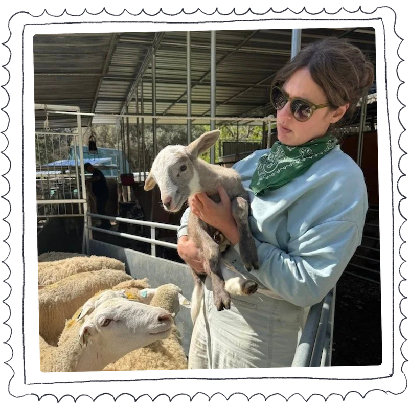 Image of Jocelyn Brown holding a lamb as a mother sheep observes.