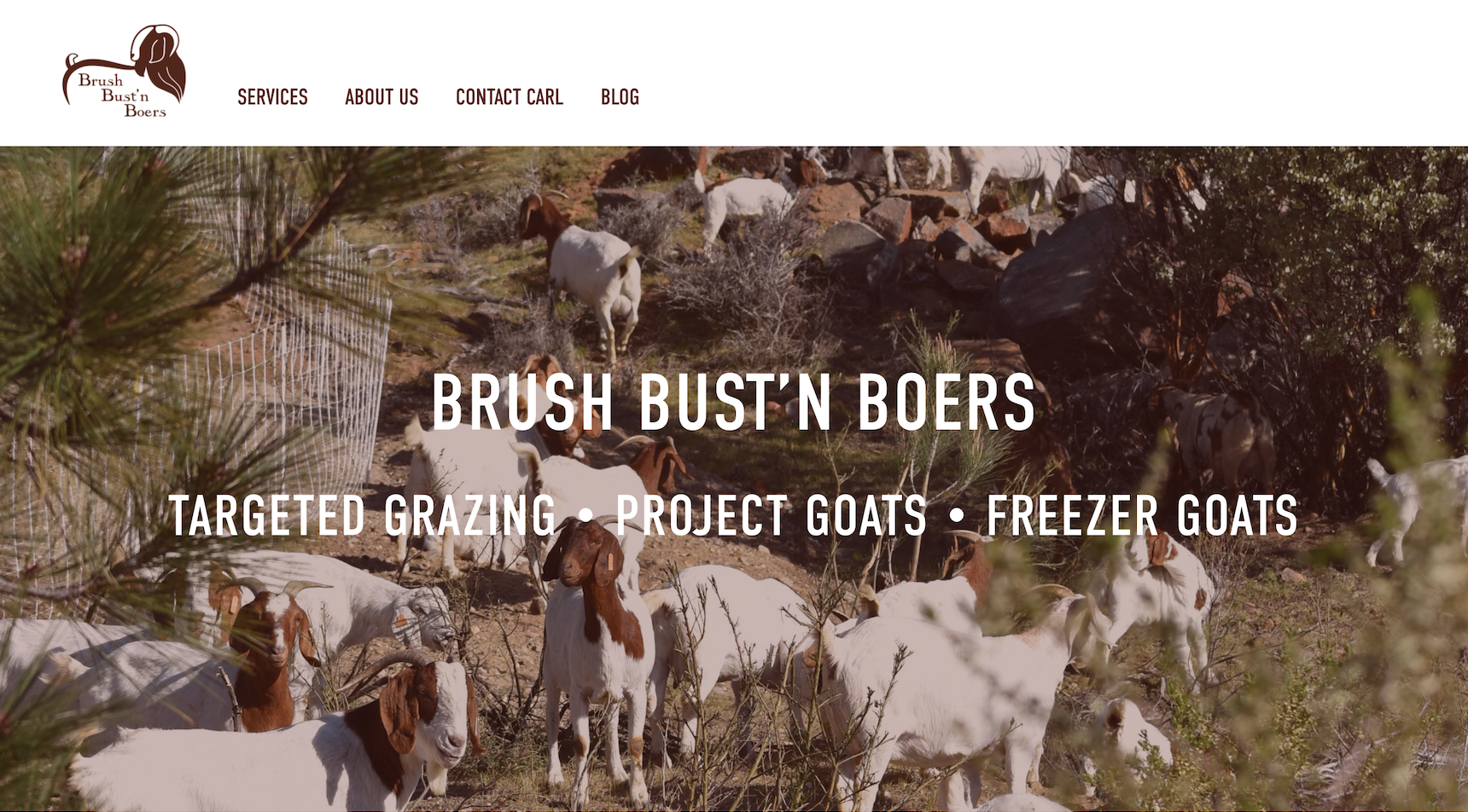 Brush Bust’n Boers