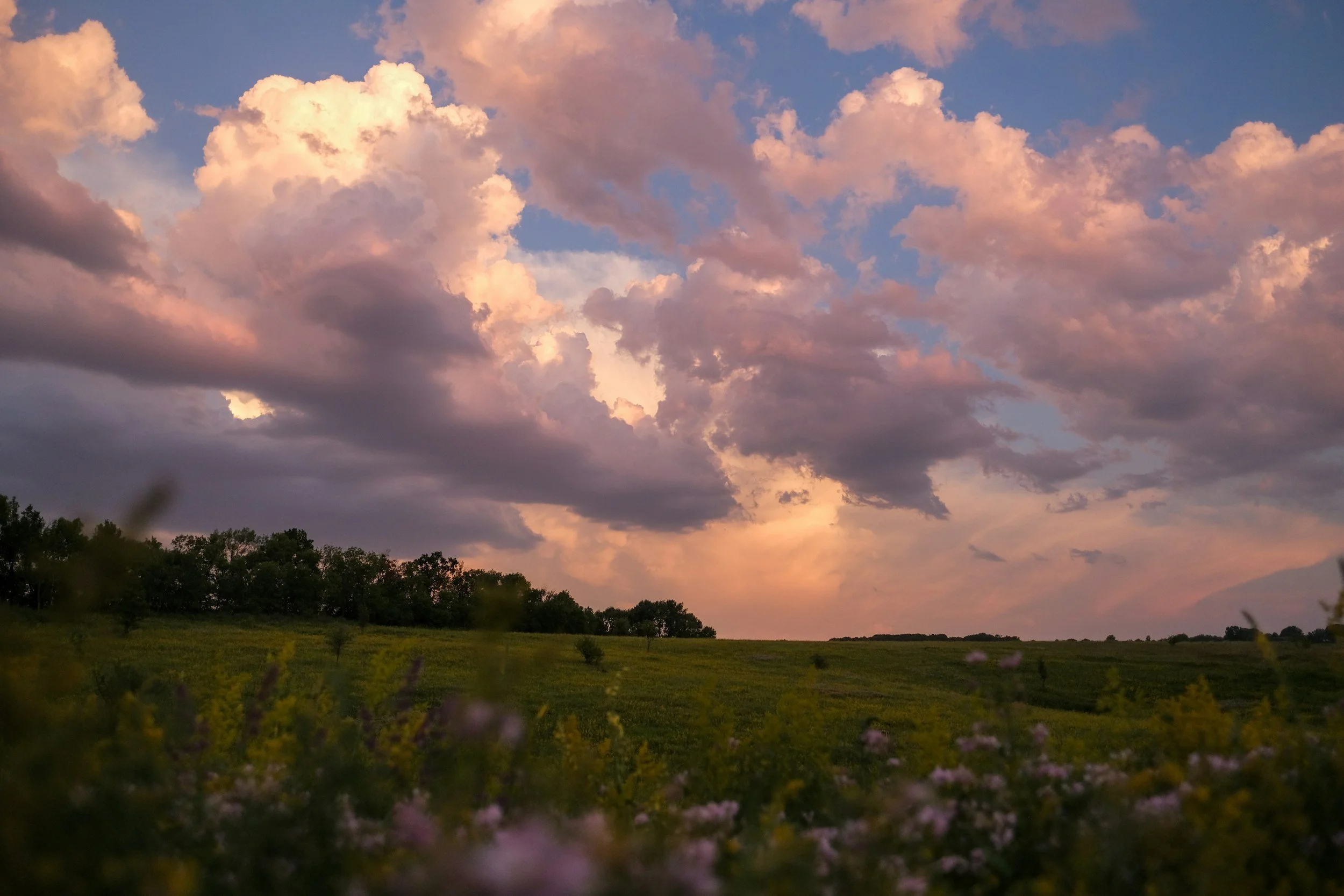 Pasture with clouds in the sky.