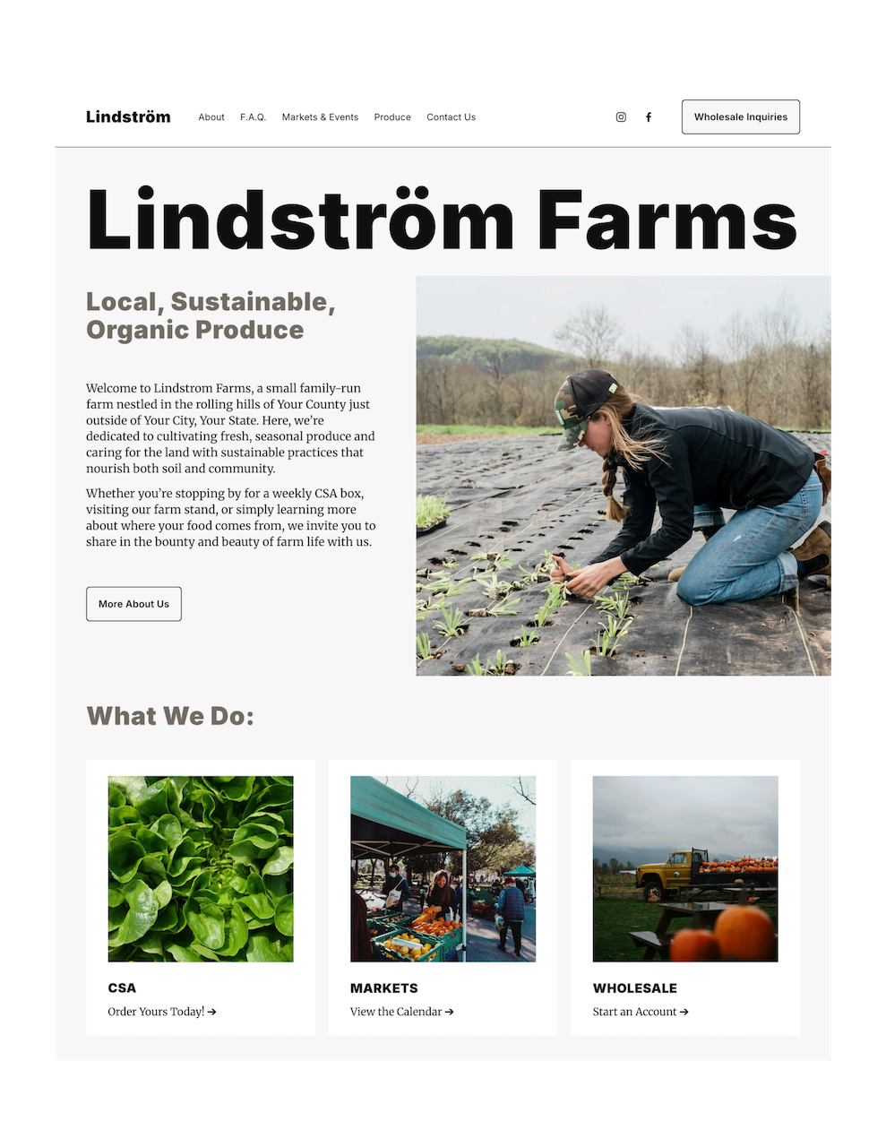 Lindstrom Website Template for Farmers.png
