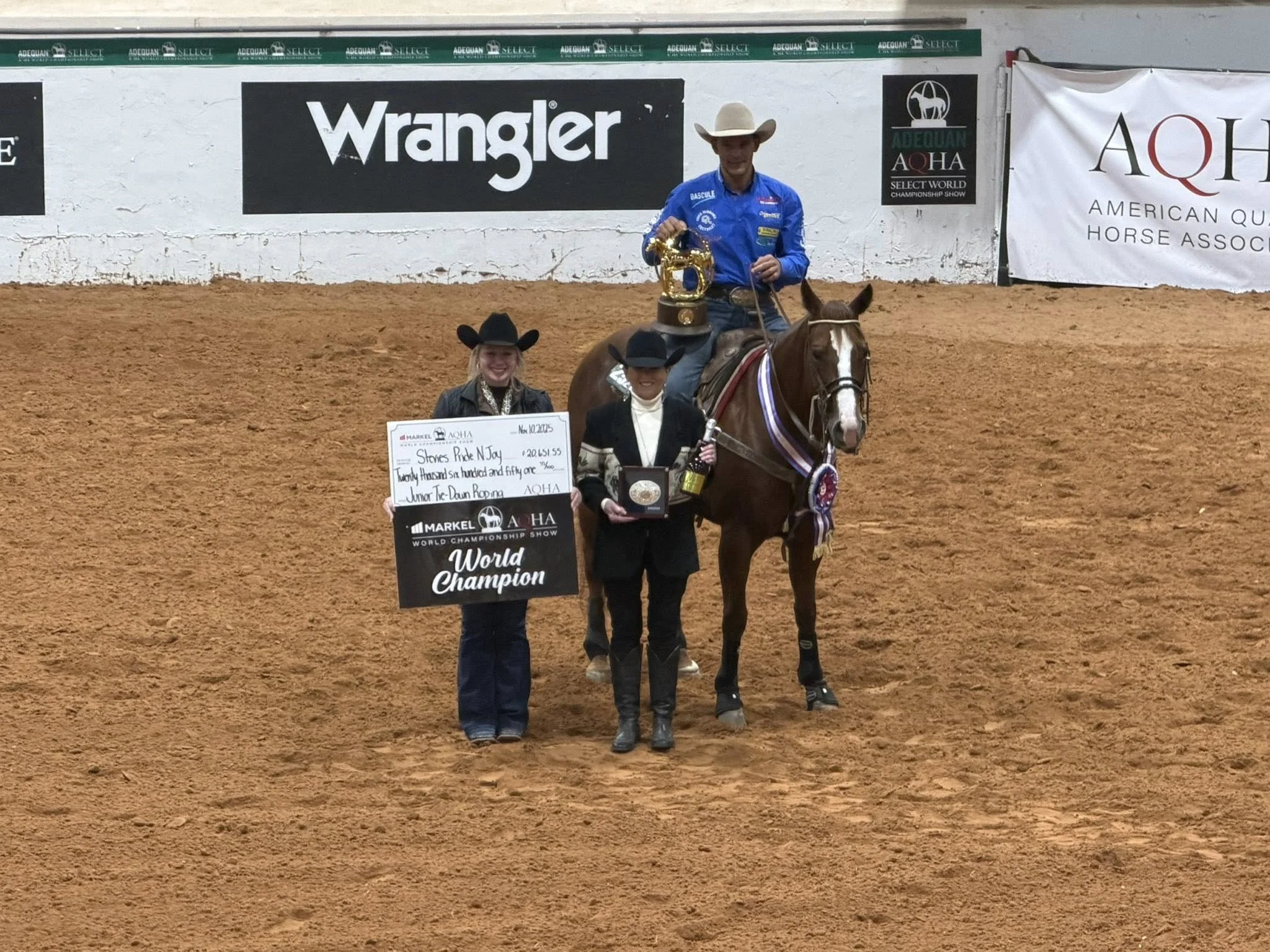 Shining Spark Daughter, Winenshineme, Becomes AQHA World Champion Producer