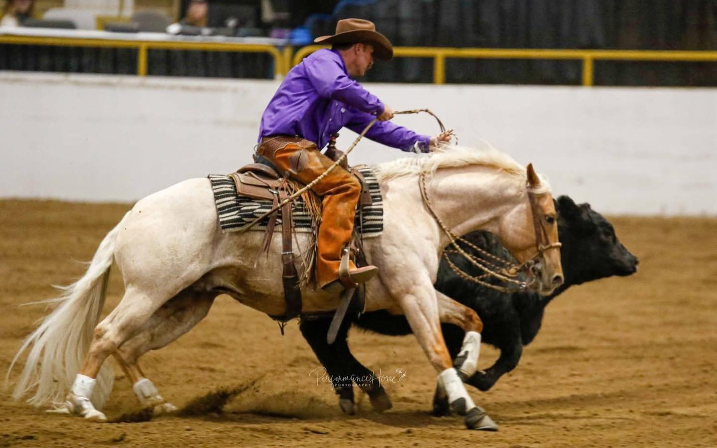 Nuggett Secures Championship with Team Purple at National Western Stock Show Performance Horse Showdown