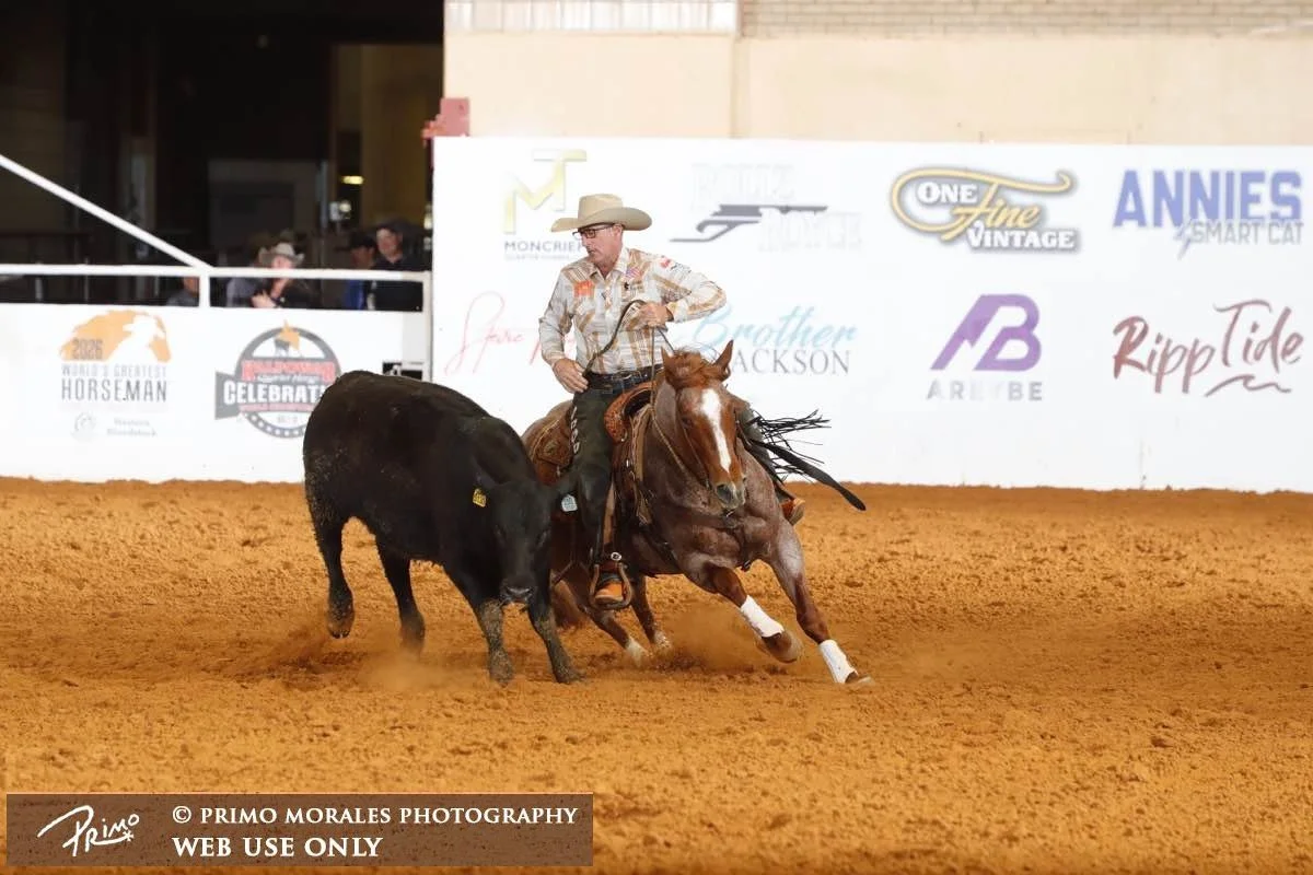 Outfoxxed Finishes 4th in Open Bridle at NRCHA Celebration of Champions with High Cow Work Score