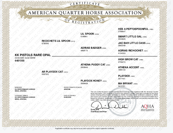 opal-aqha papers-digital.png