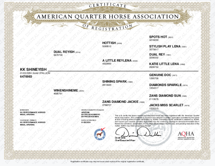 blaze aqha papers-digital.png
