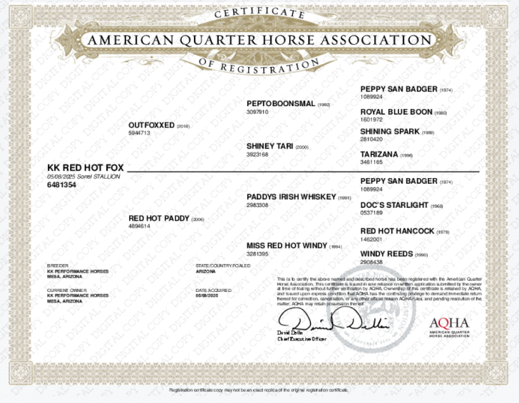 seven-aqha papers-digital.png