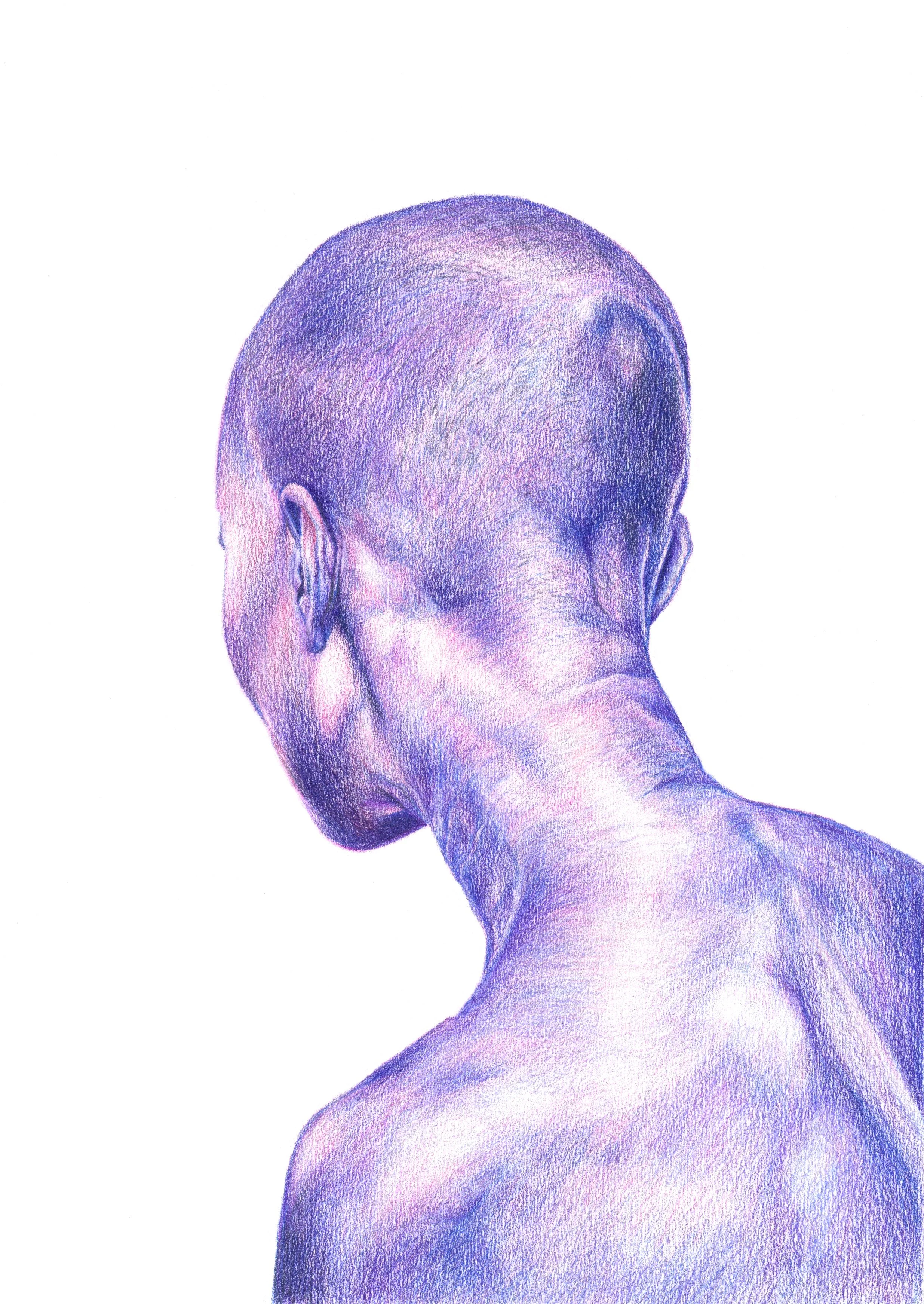 A detailed colored pencil drawing of the back of a bald person's head and neck, with visible skin texture and muscle definition, set against a white background.