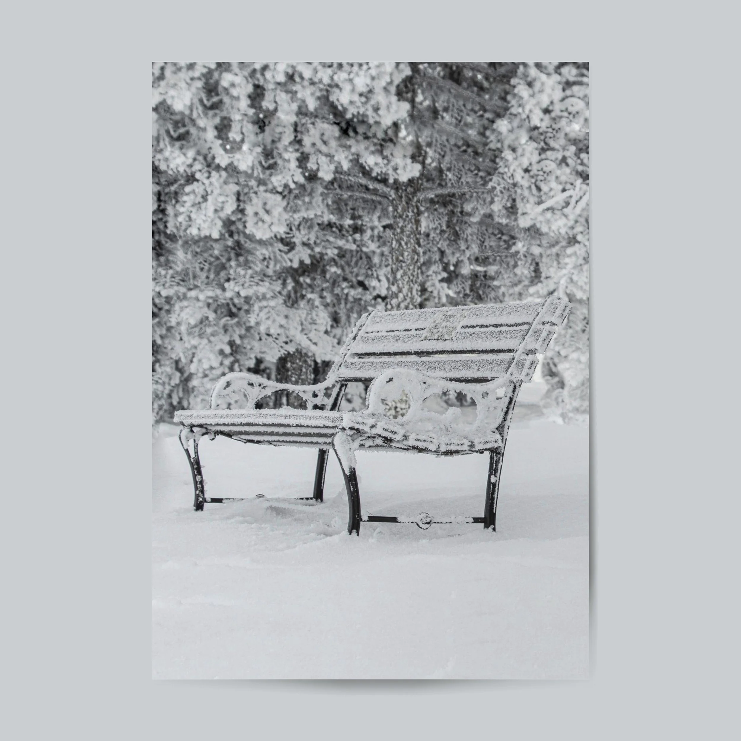 Poster-Out In The Cold.jpg