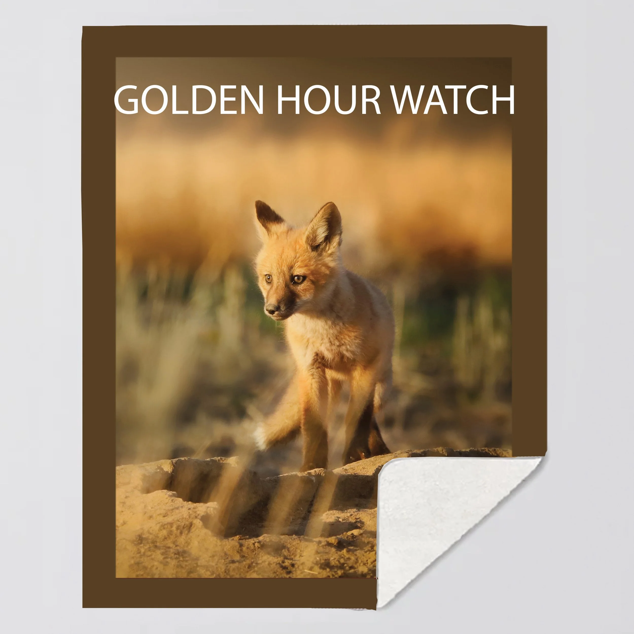 Twin Blanket-Golden Hour Watch.jpg