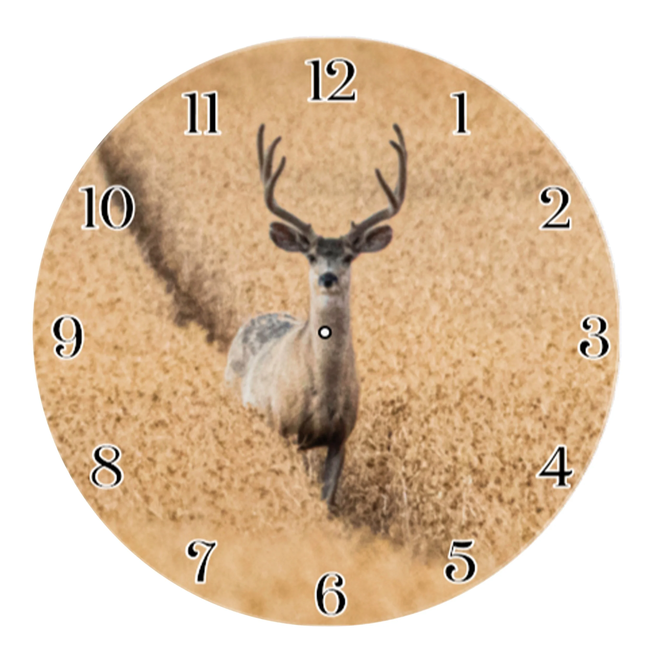 Classic Clock-Prairie Trail.jpg