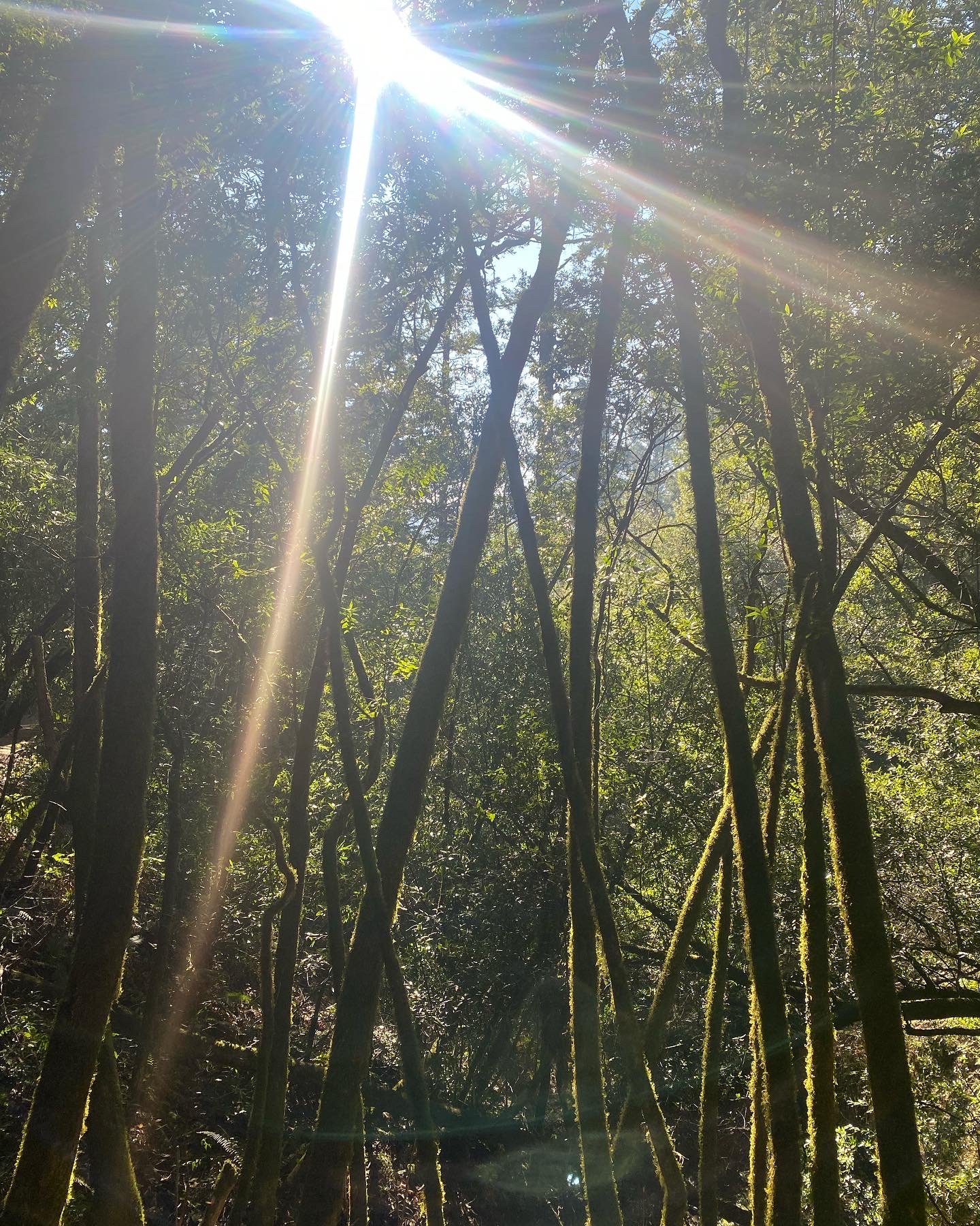 Jonathan Shanley Guitarist — Lesson Booking