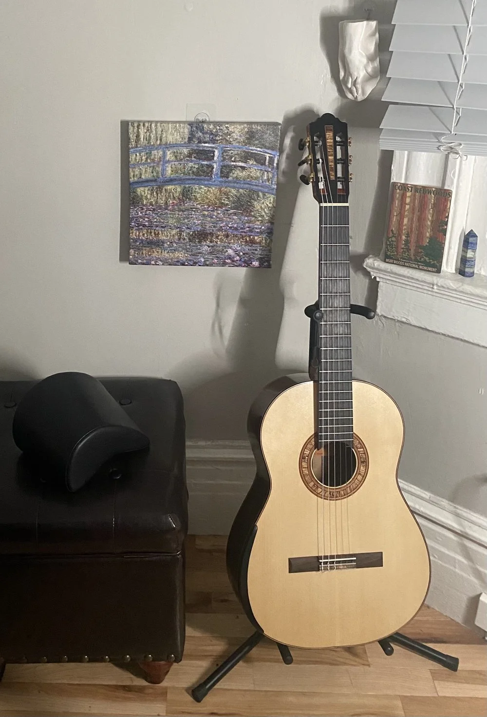 Jonathan Shanley Guitarist — About