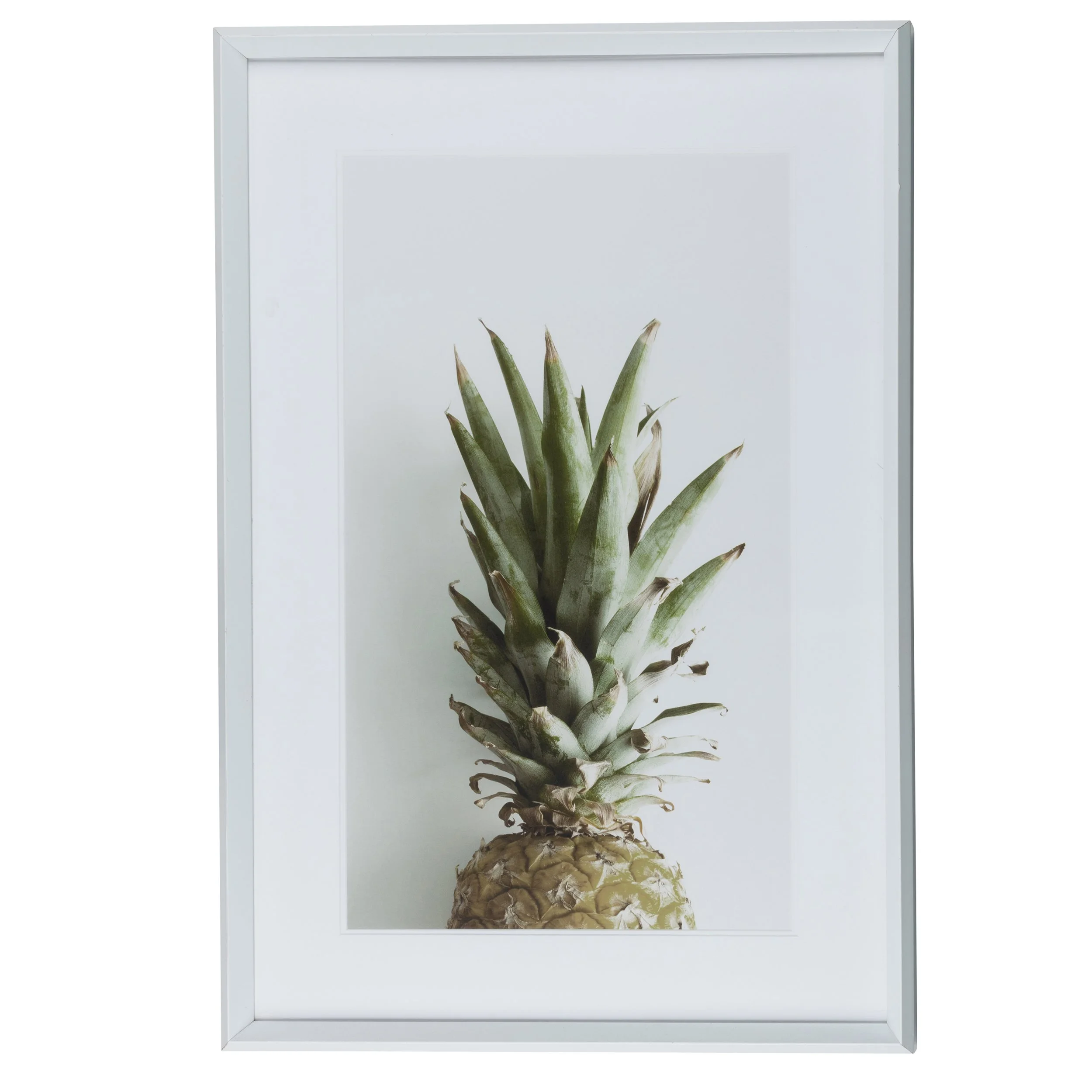 Pineapple%20Polaroid.jpg