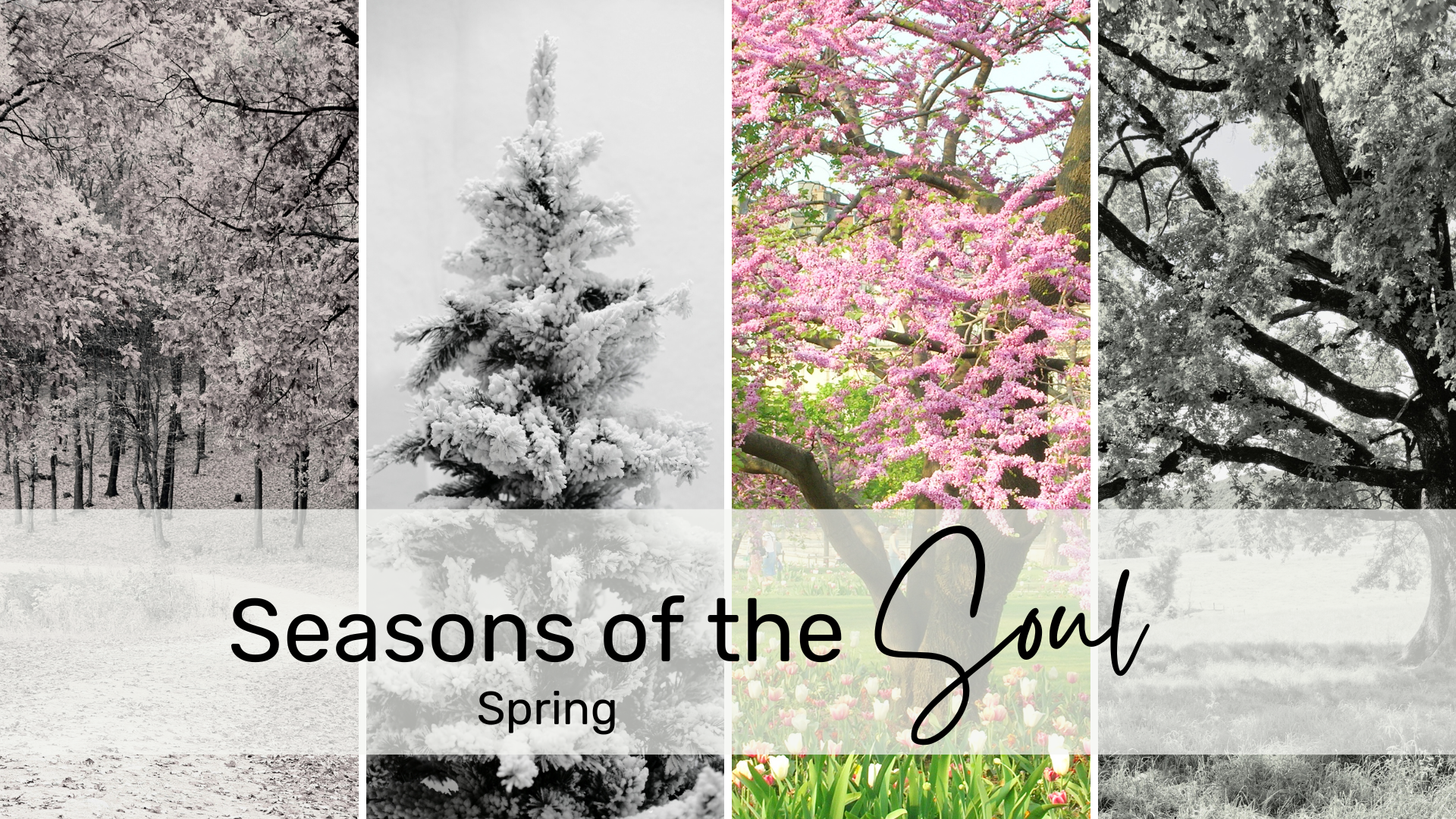 Seasons of the Soul: Spring