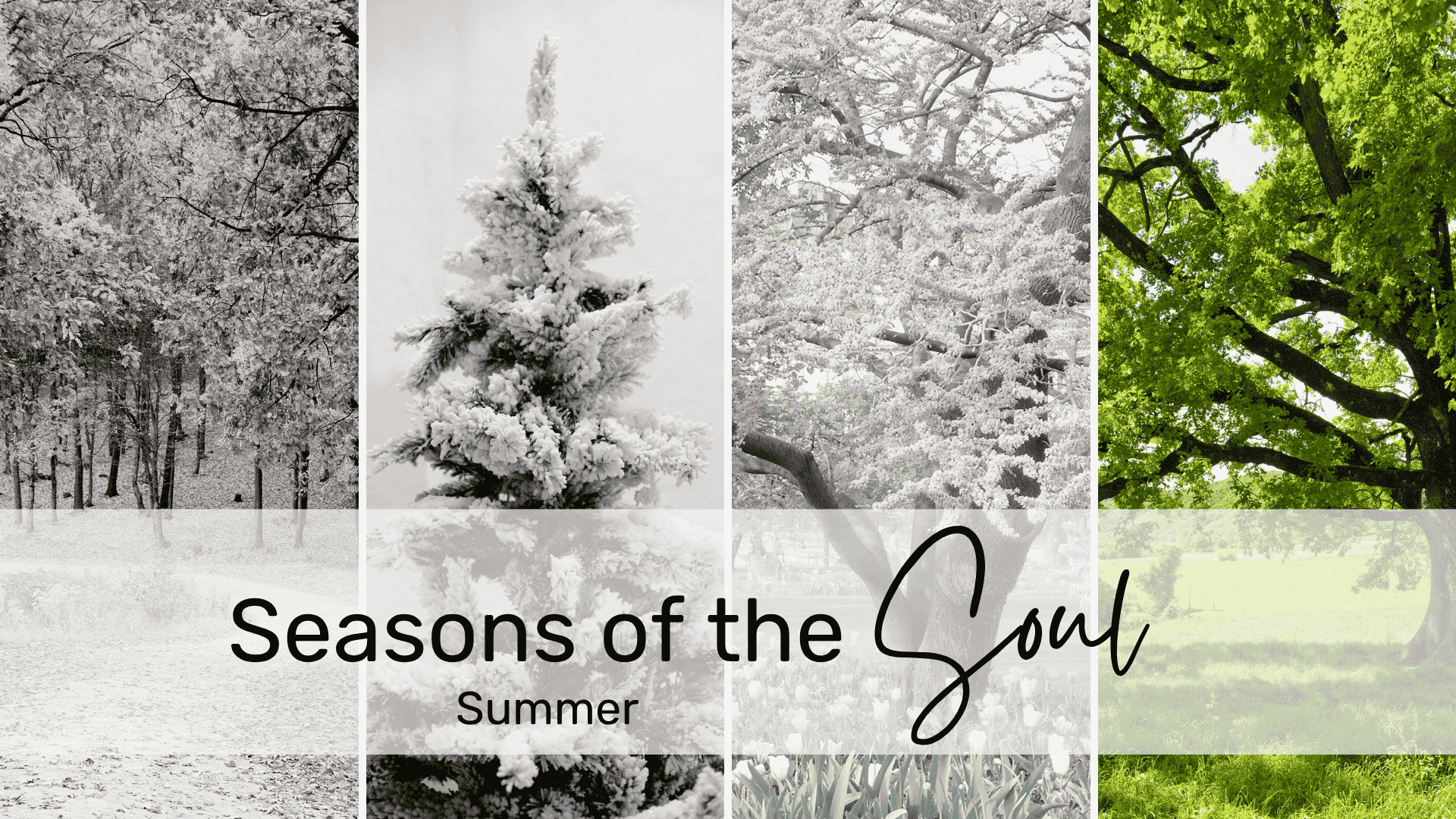 Seasons of the Soul: Summer