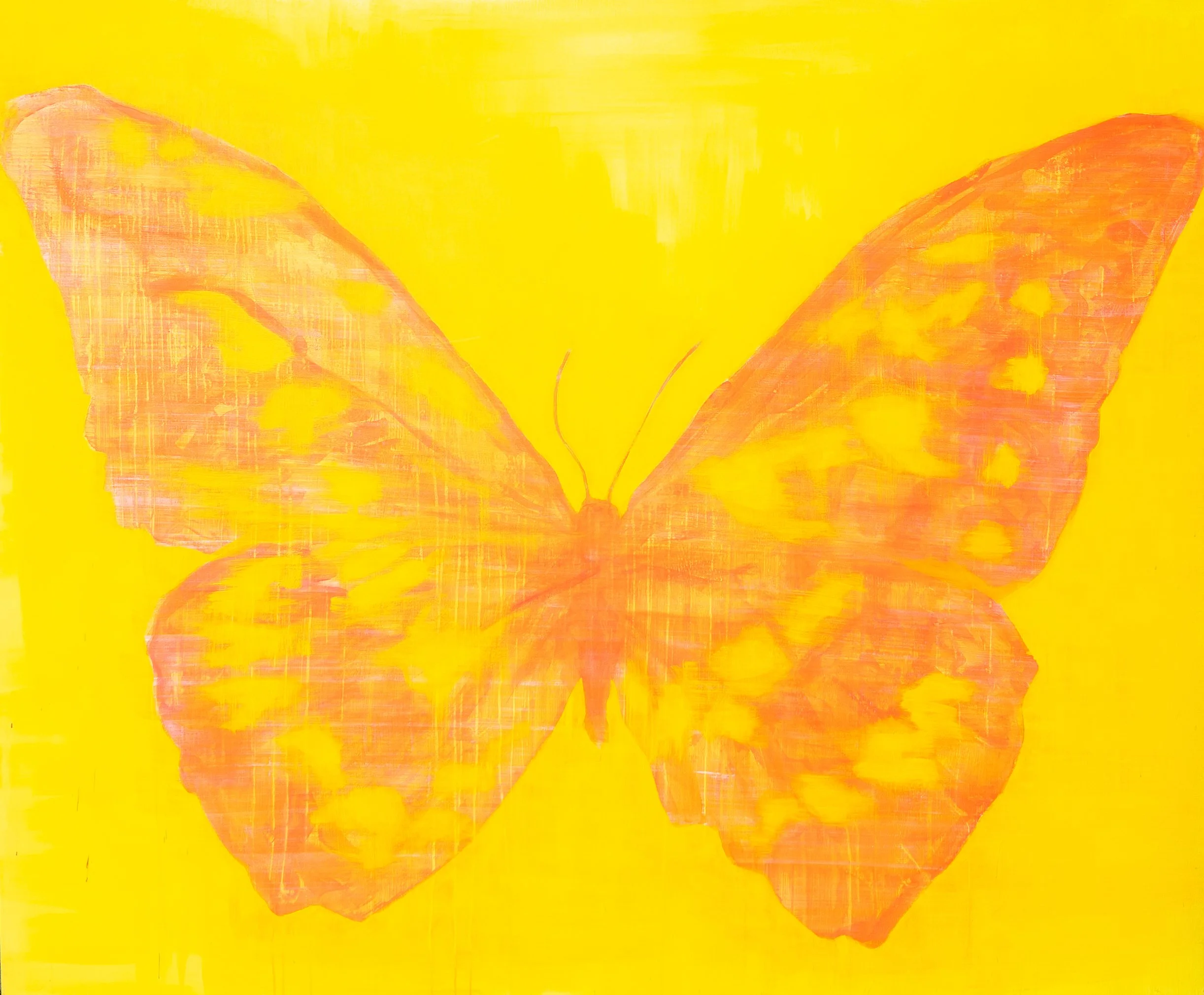 happy yellow and orange butterfly painting.jpg