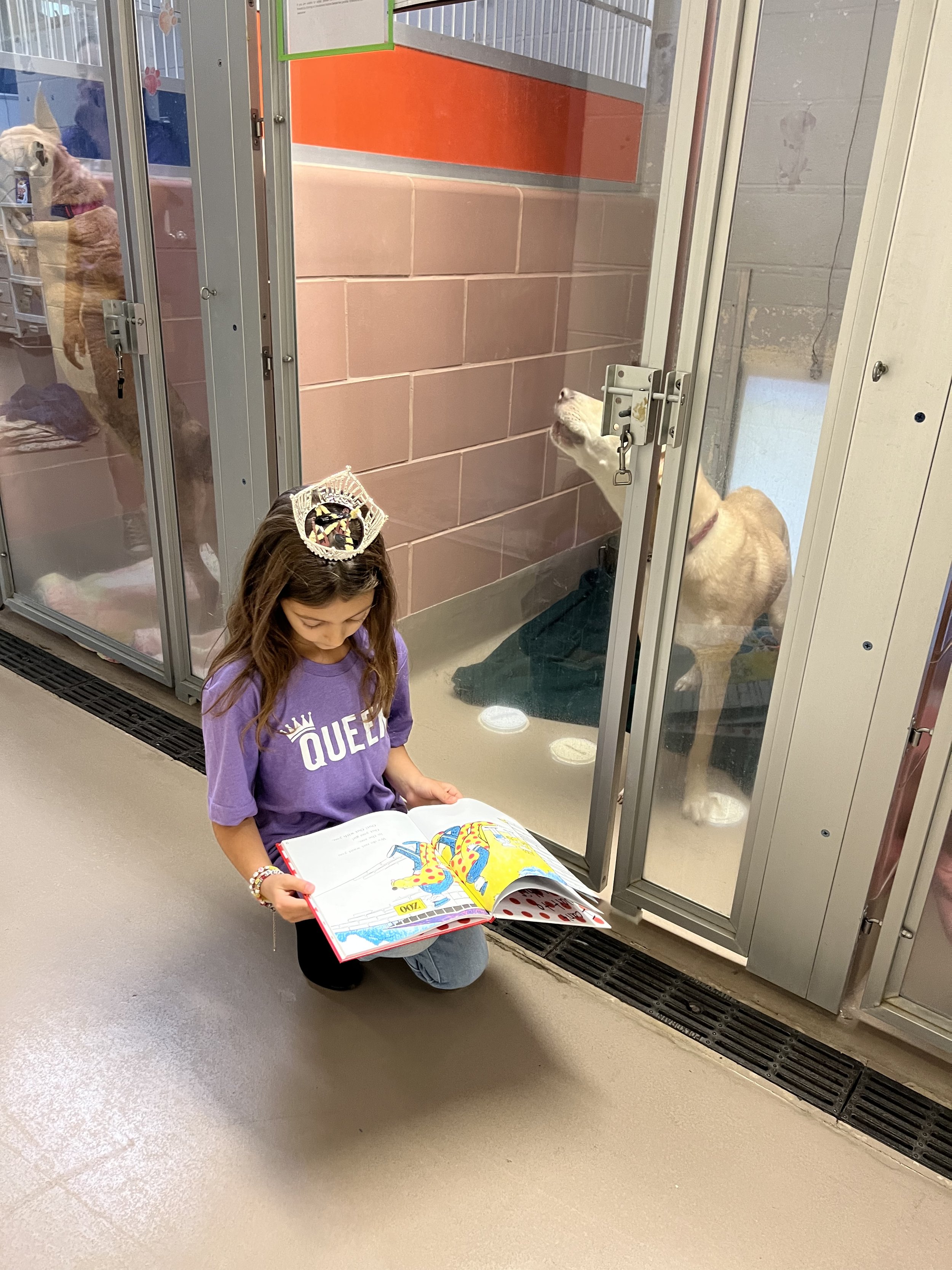 Reading to dogs in the shelter at The Center for Animal Health and Welfare in Easton, PA.