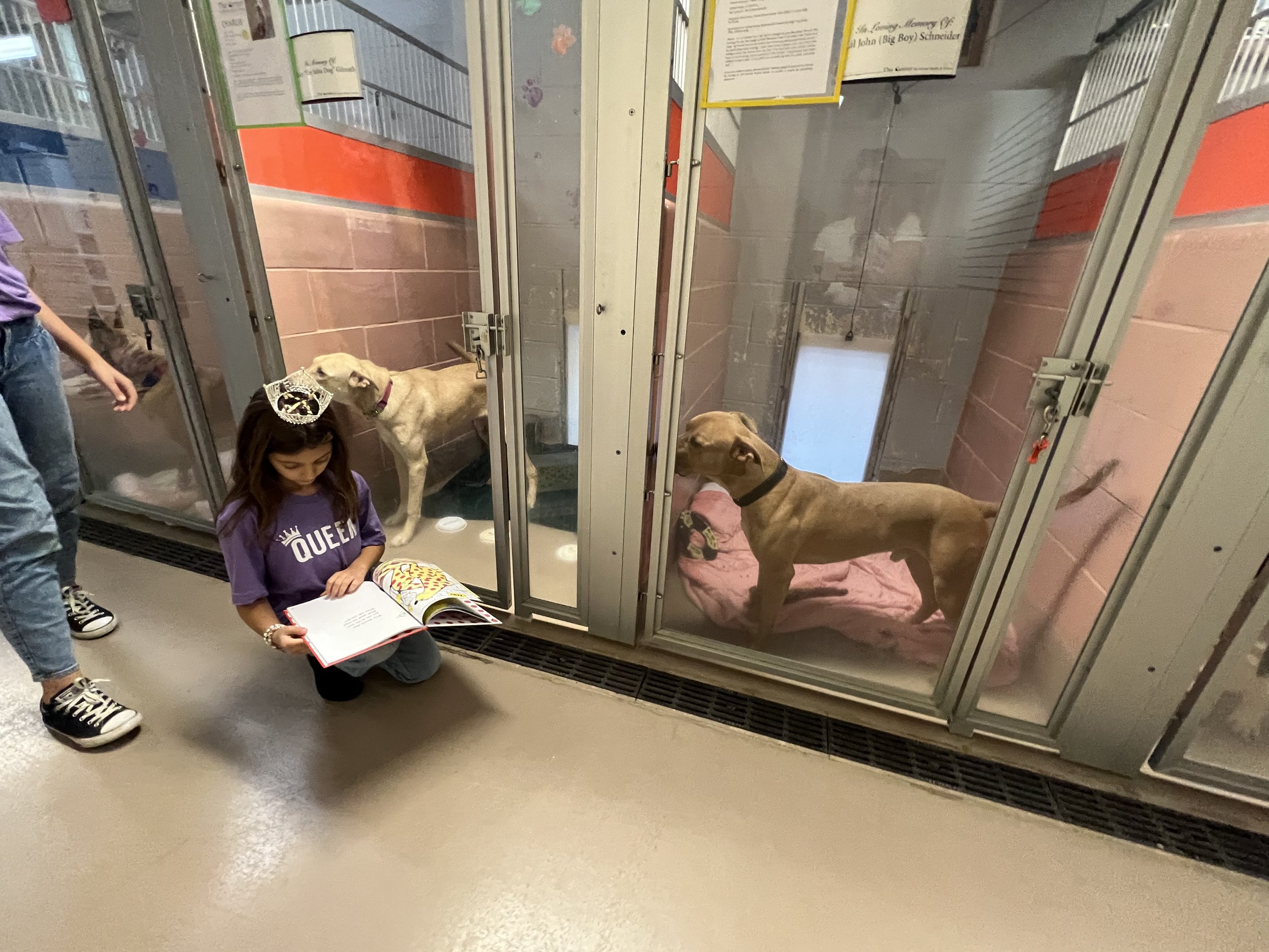 Reading to dogs in the shelter at The Center for Animal Health and Welfare in Easton, PA.