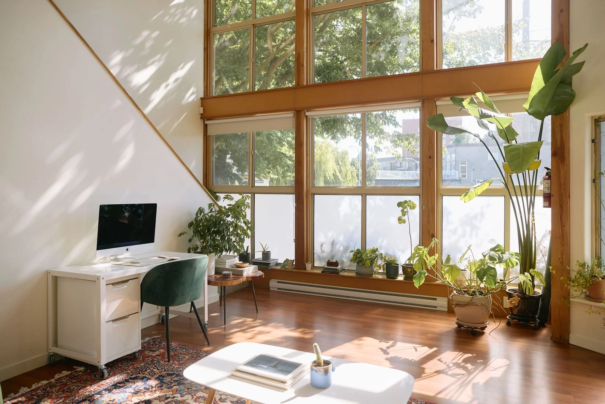 3 407 William St, Victoria, bC V9A3Y8