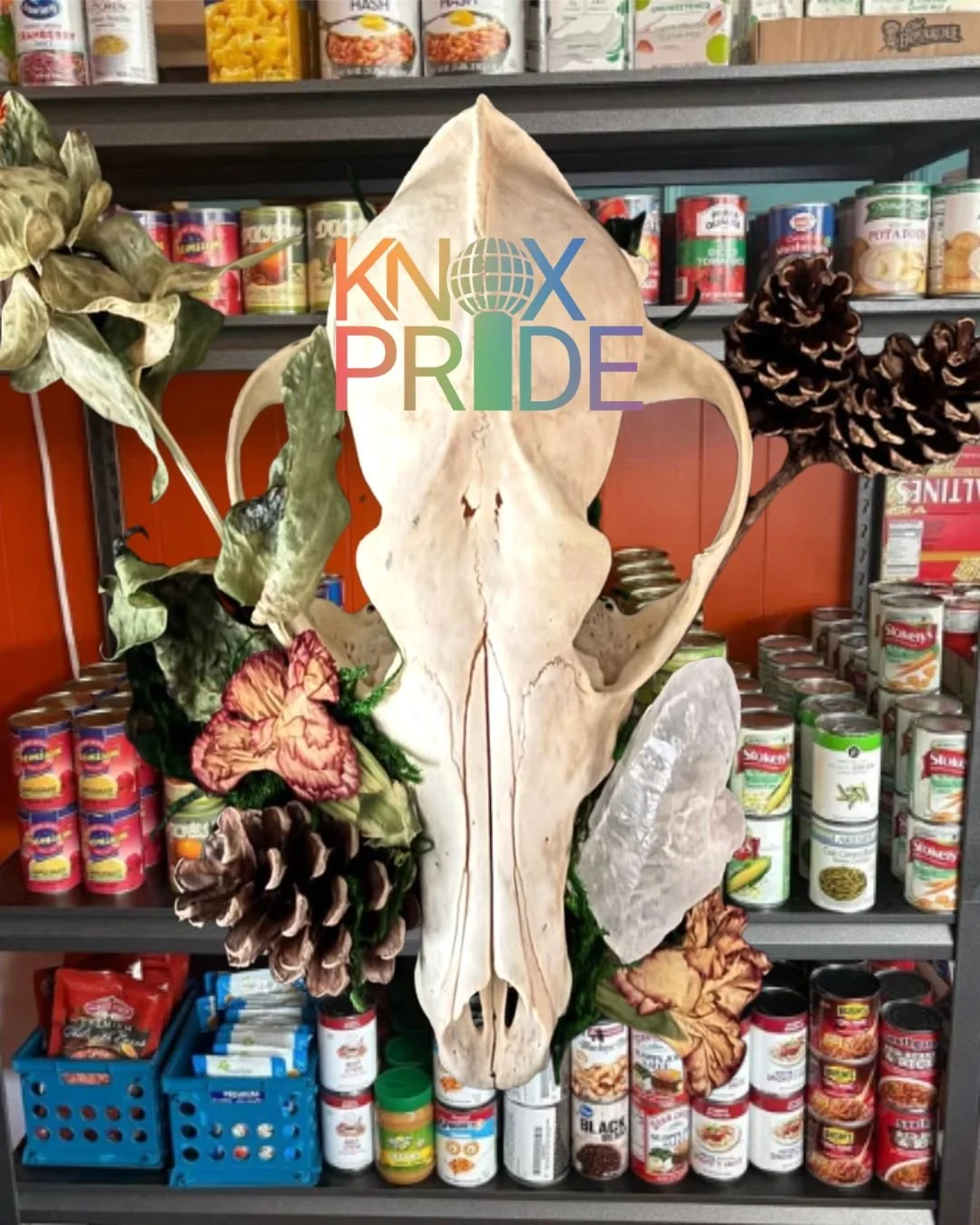First Friday Food Drive for Knox Pride and featured artist Ran Brady!