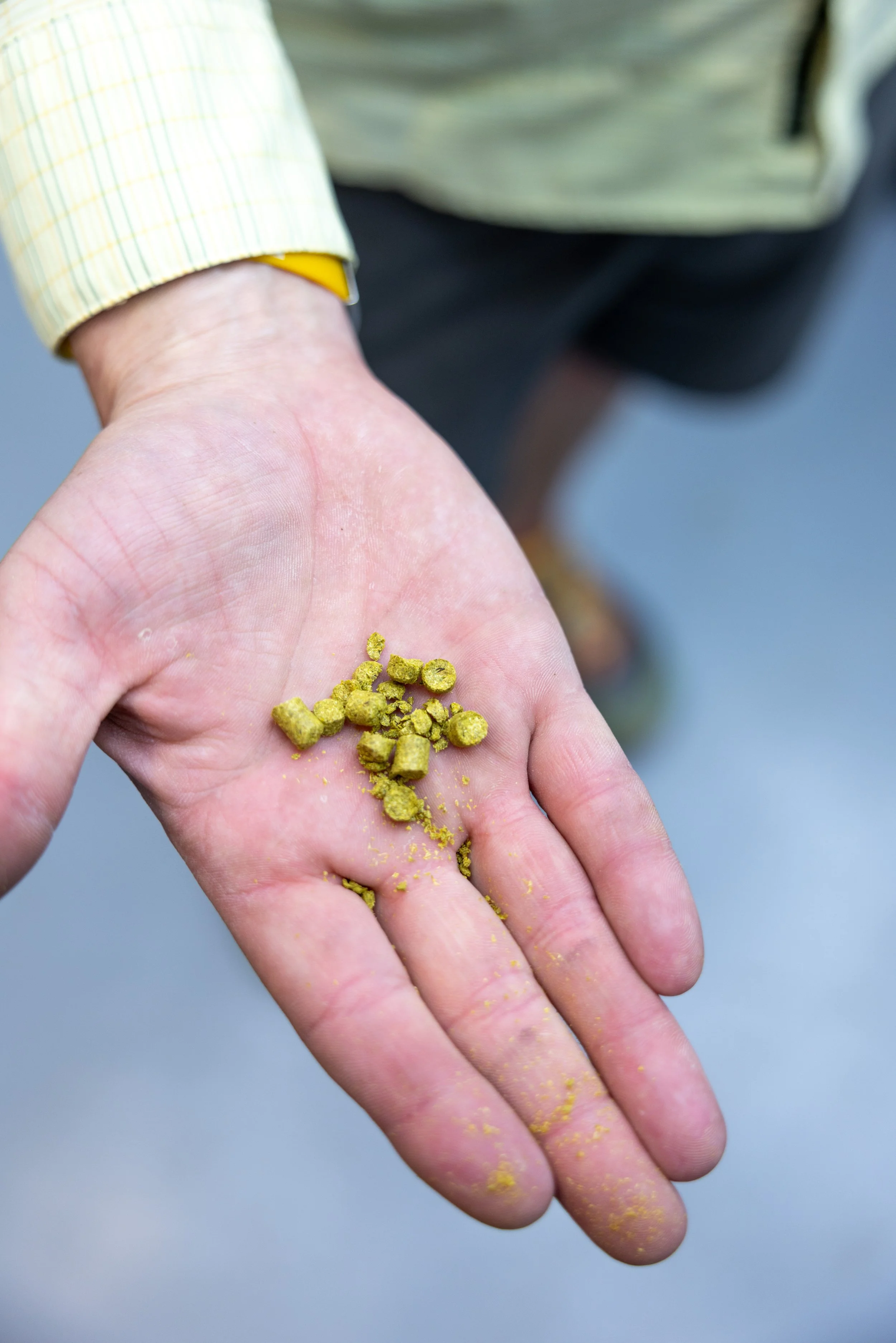 Small Batch Brewing Class