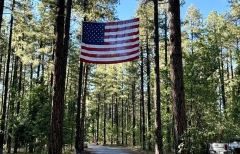 The Freedom to Choose What You Support
