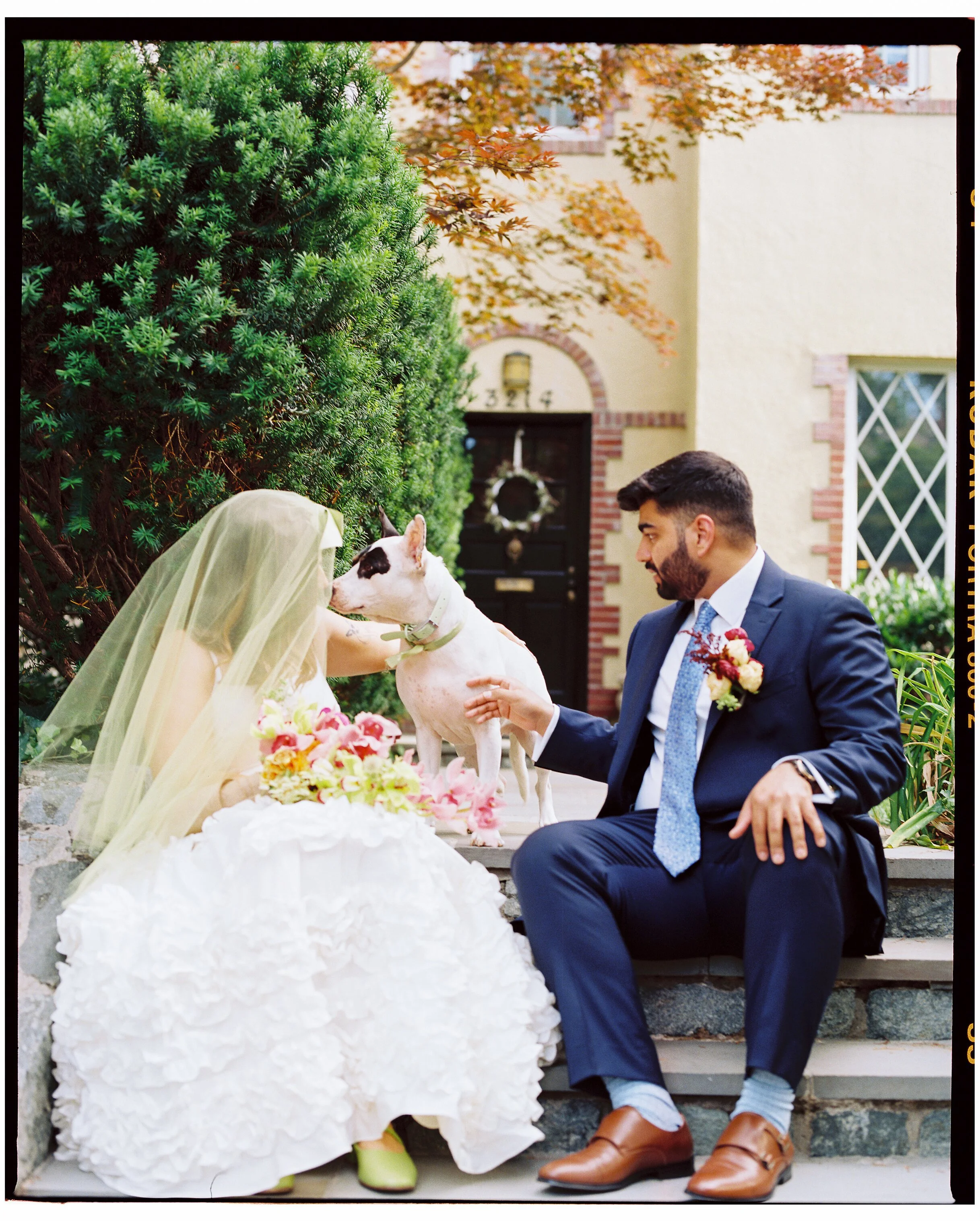 A couple dressed for a wedding sits on stone steps outside a house, with a medium-sized white dog between them. The person on the left wears a white dress with a long veil and holds a colorful bouquet, leaning in to touch noses with the dog. The pers