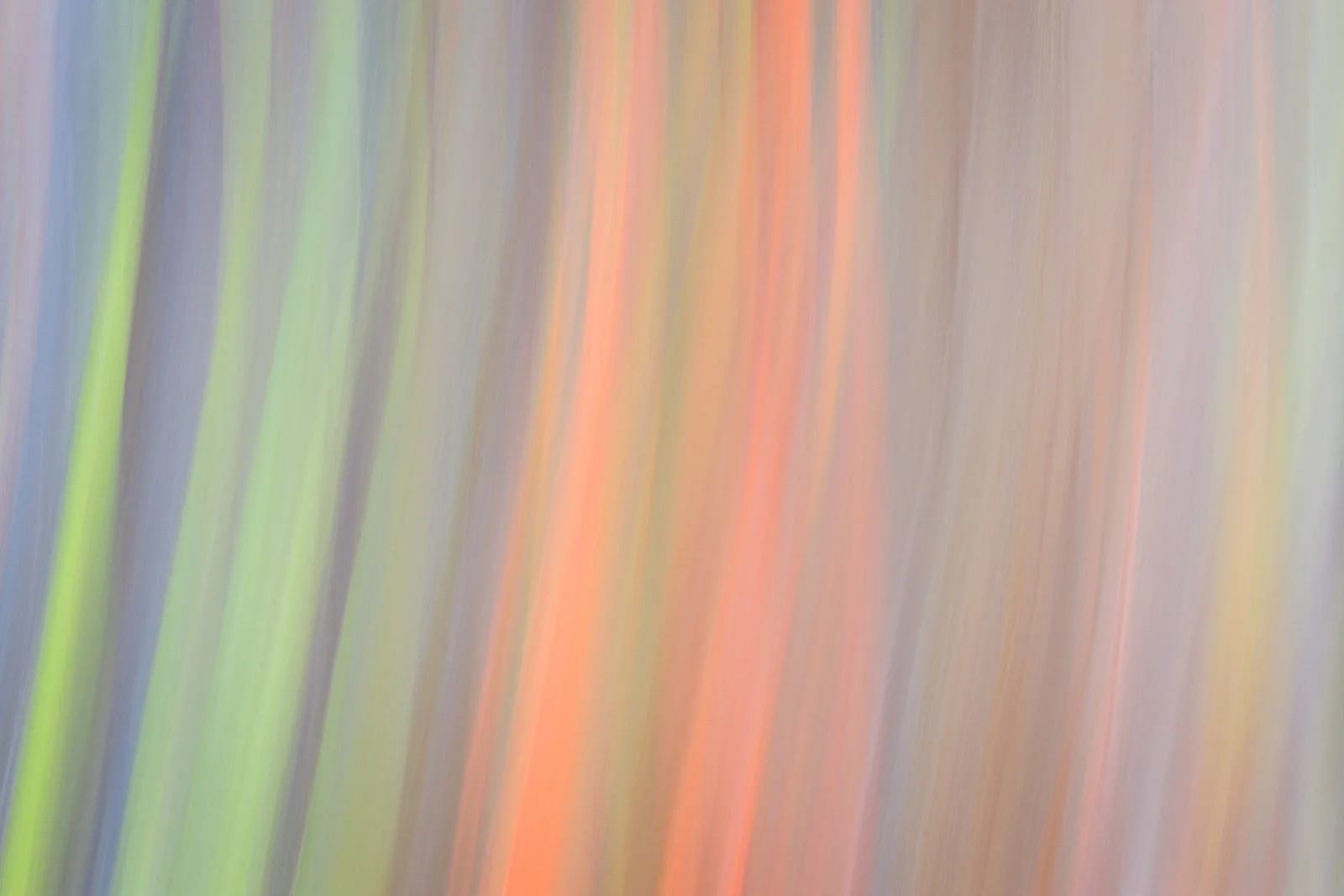 2022_05_10 - Kauai Vacation_04192-2.jpg