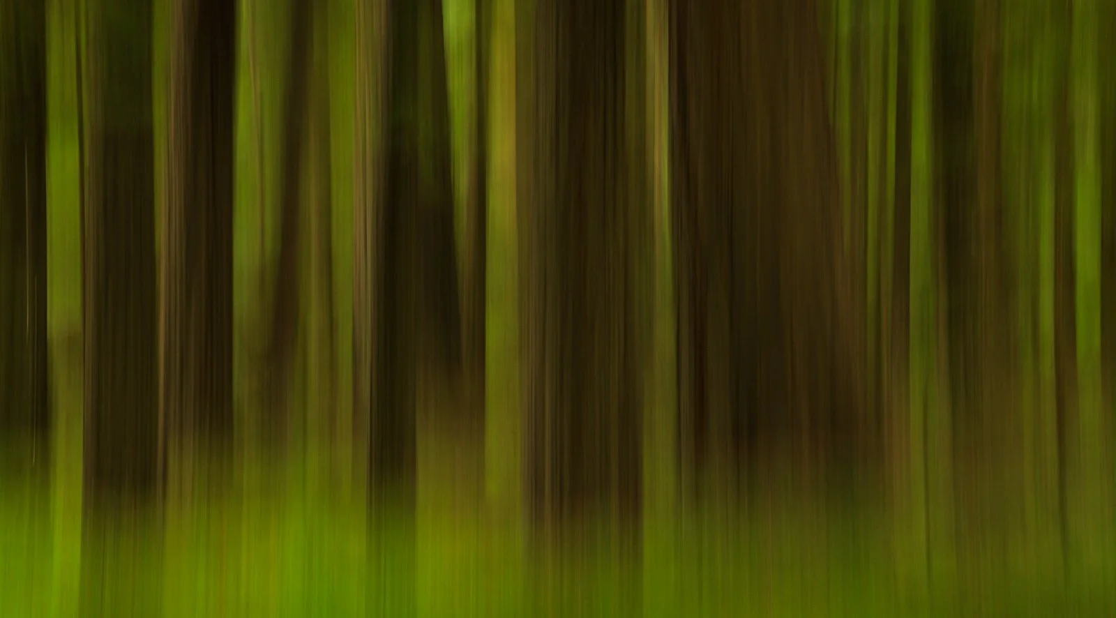 2022_08_11 - West Coast Road Trip_01234-2.jpg
